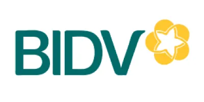 BiDV