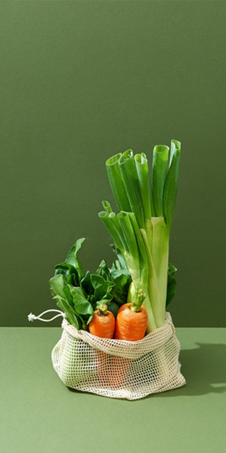 organic2-v-banner1