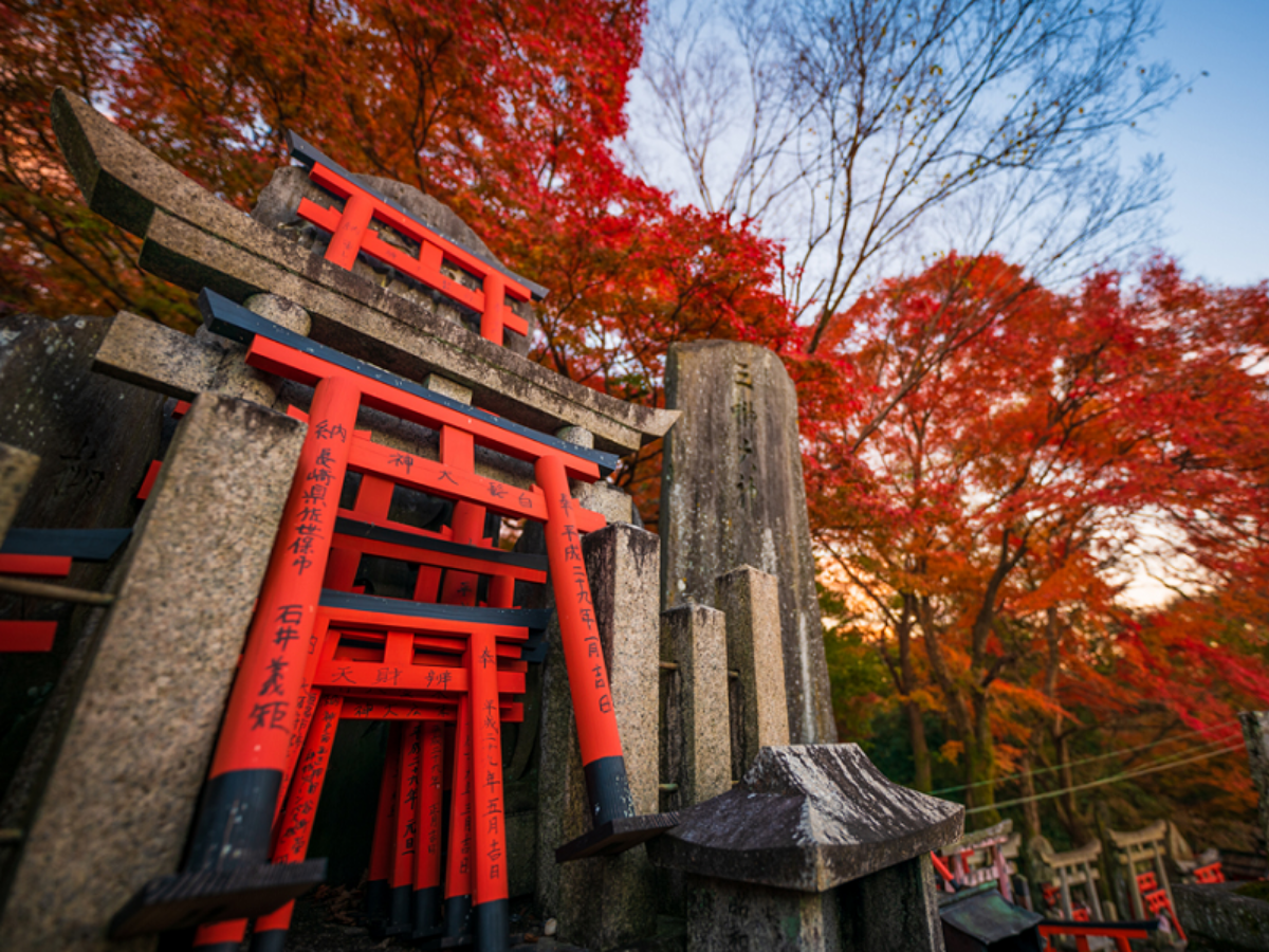 Nhật Bản Cung đường vàng: Osaka - Kobe - Kyôt - Nagoya - Yamanashi - Tokyo 6N5Đ_thumbnail_3