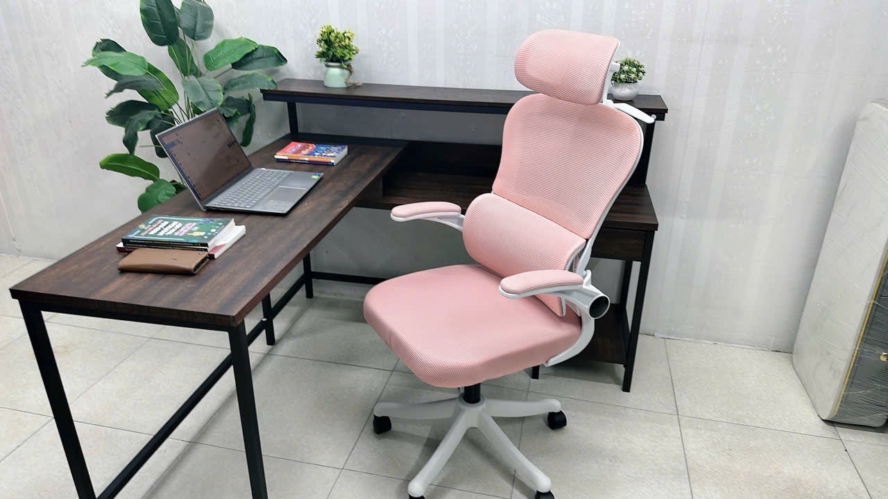 Ghế Công Thái Học LX05_thumbnail_9