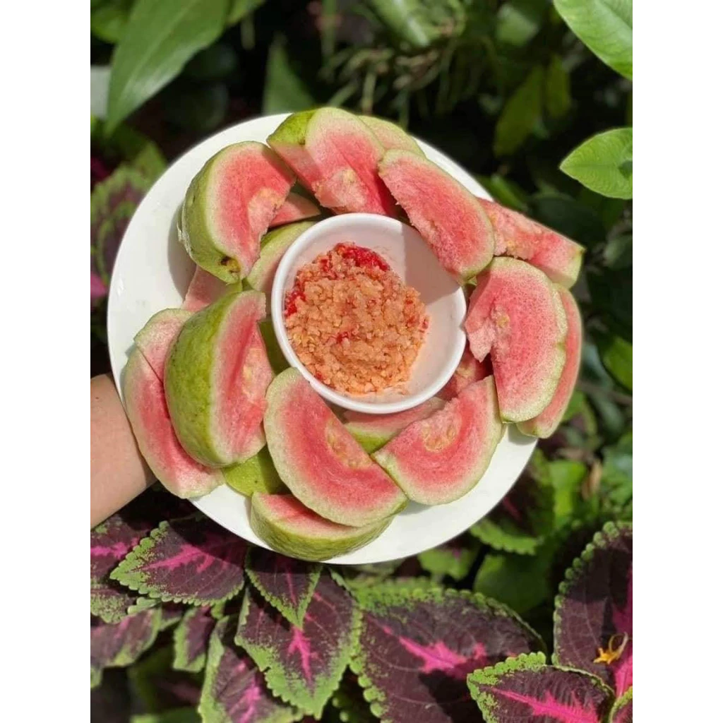 Ổi Ruby_thumbnail_1