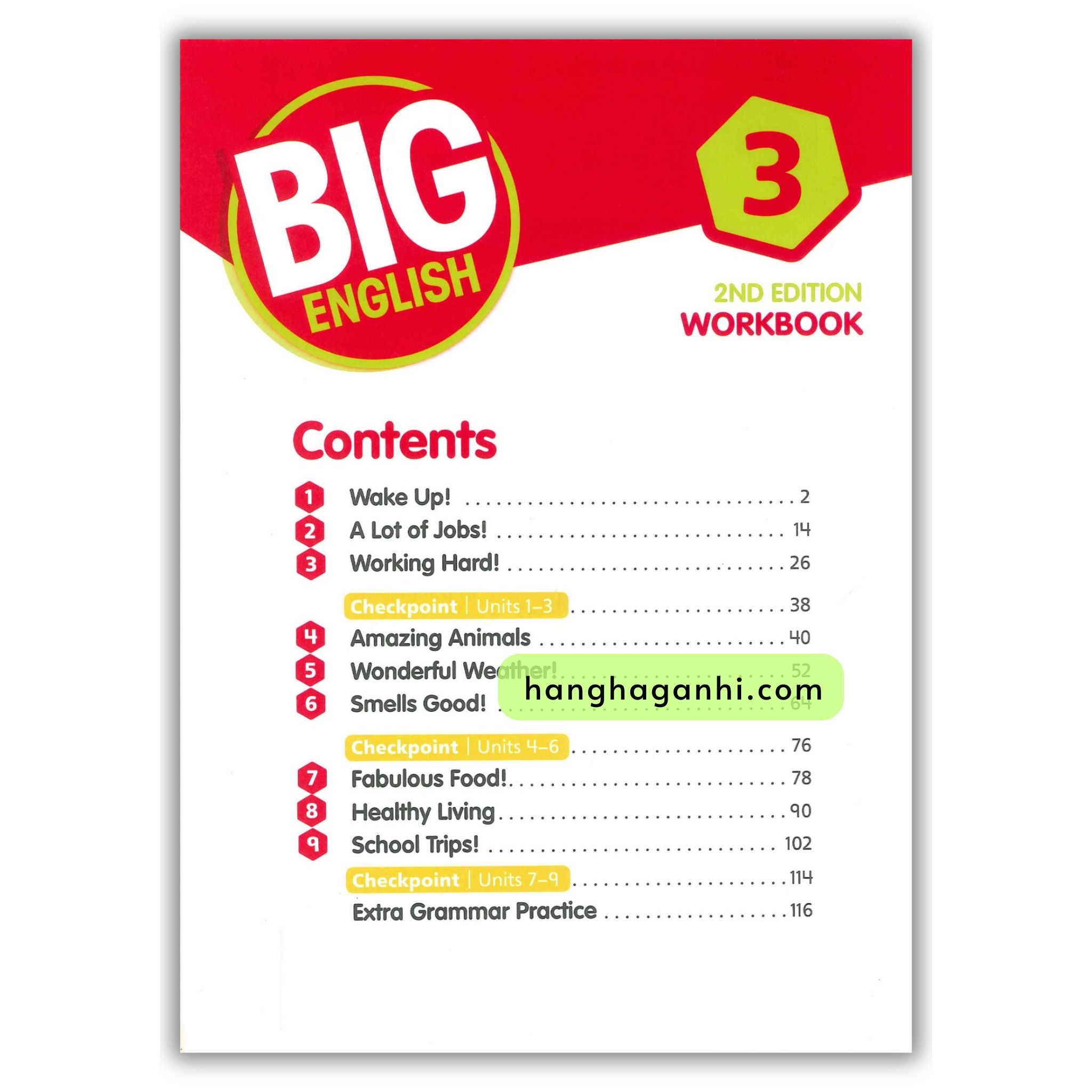 Big English 3 WORKBOOK 2nd Edition American English_thumbnail_1