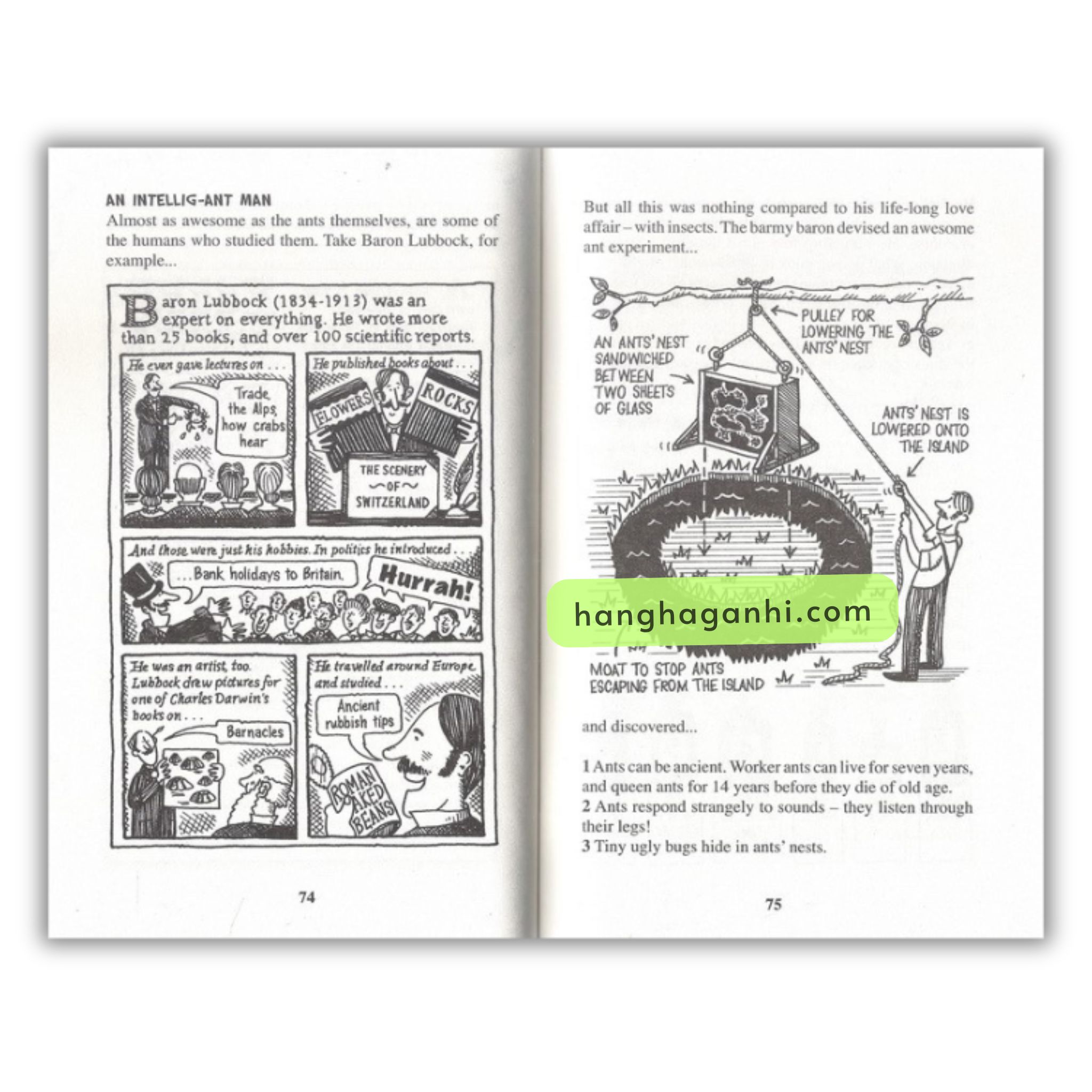 Bộ sách Horrible Science (sách nhập khẩu)_thumbnail_11