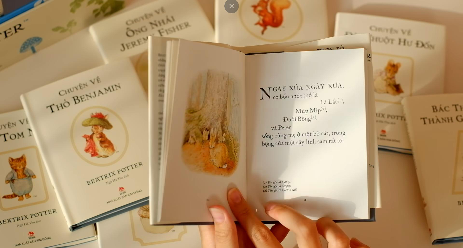 Boxset Thế Giới Của Thỏ Peter-(23 Cuốn)_thumbnail_7