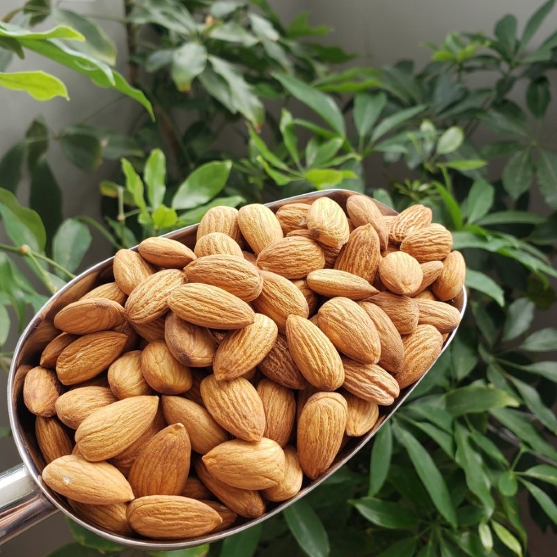 Nhân Hạnh Nhân Mỹ Sấy_thumbnail_2