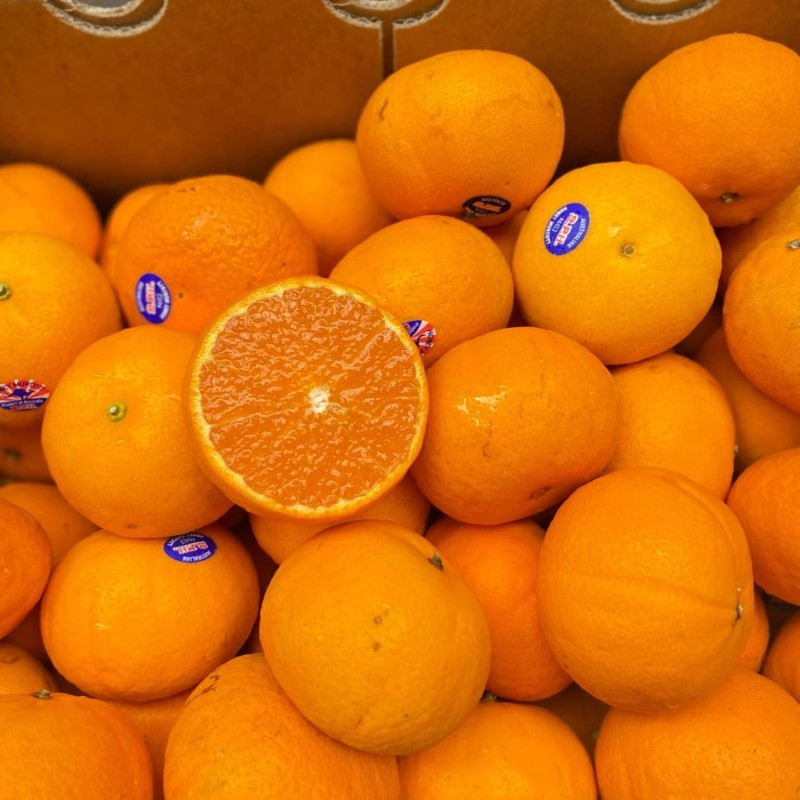 Quýt Úc Baby (Citrus)_thumbnail_2