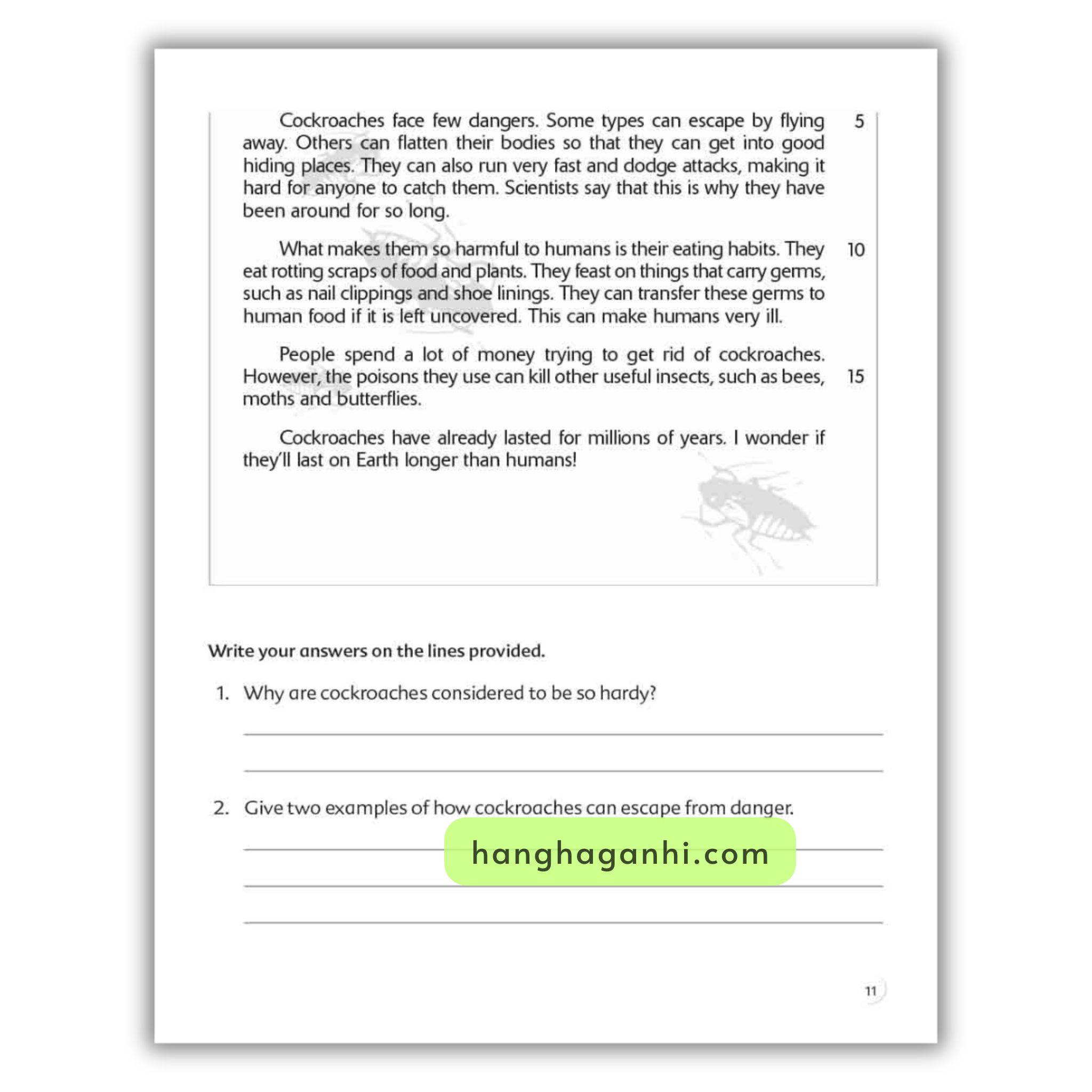 Bộ 6 cuốn Scholastic Complete Comprehension Practice 6 Level_thumbnail_14