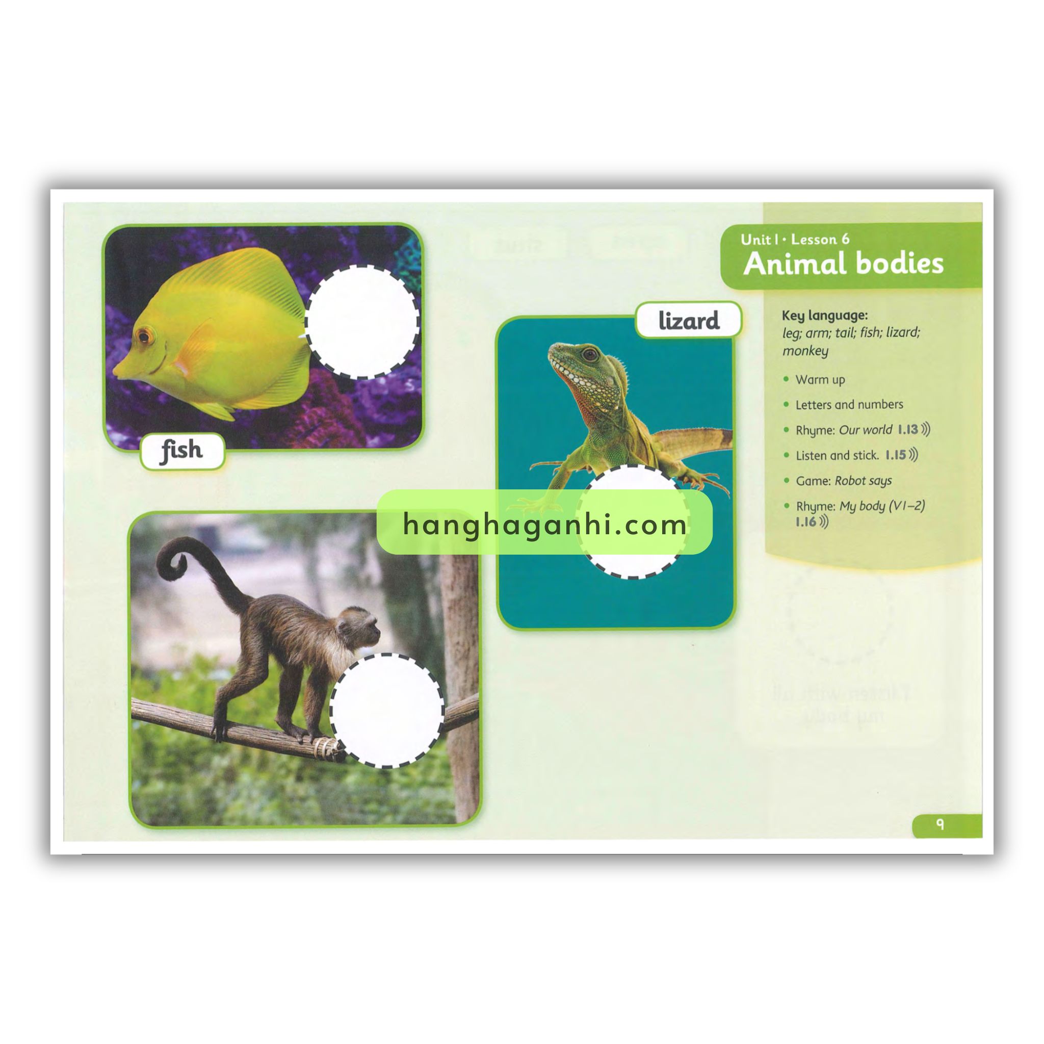 Hide and Seek level 2 ( Pupil’s Book – Activity Book)_thumbnail_15