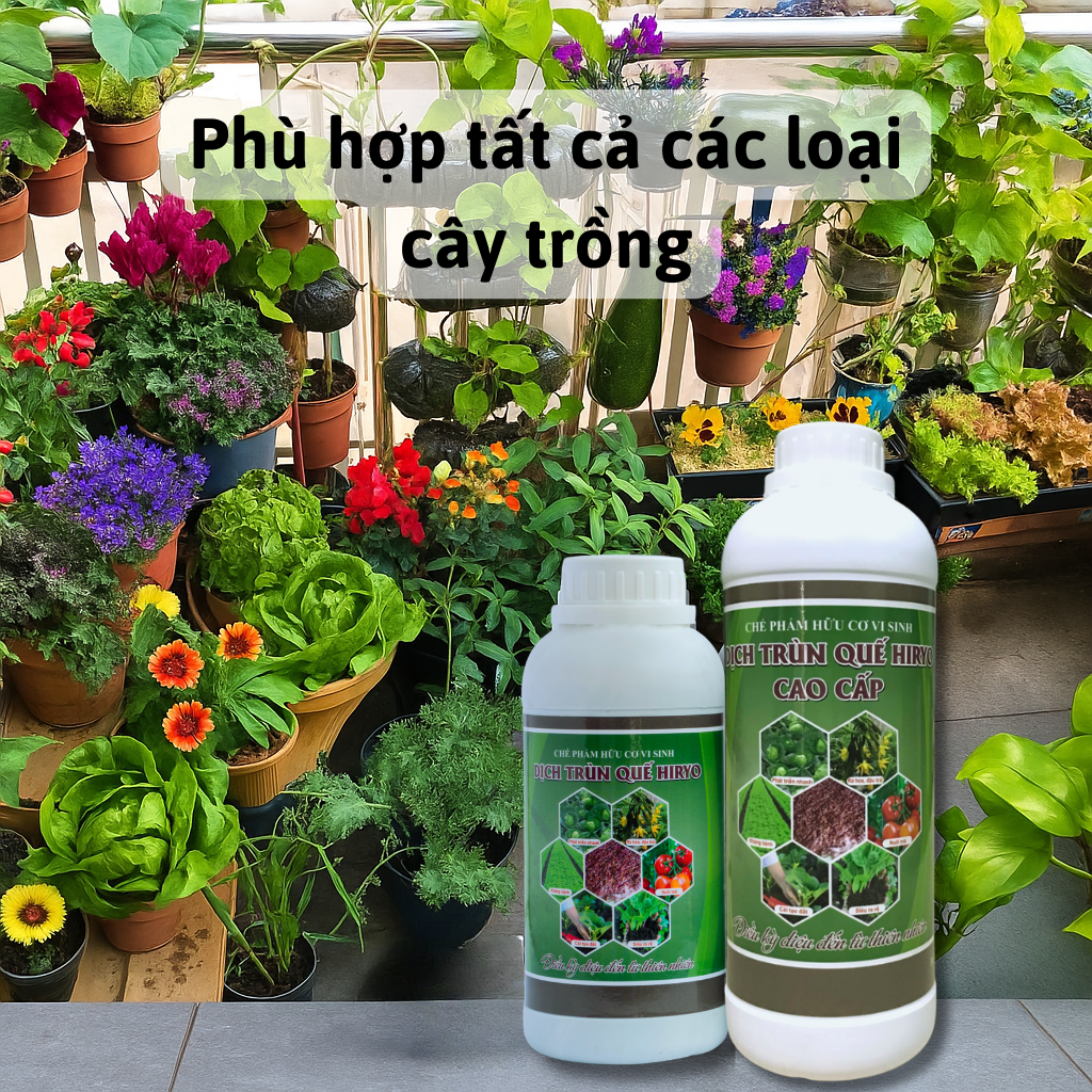 CÁCH SỬ DỤNG DỊCH TRÙN QUẾ HIRYO CHO RAU ĂN LÁ VÀ CÂY ĂN QUẢ