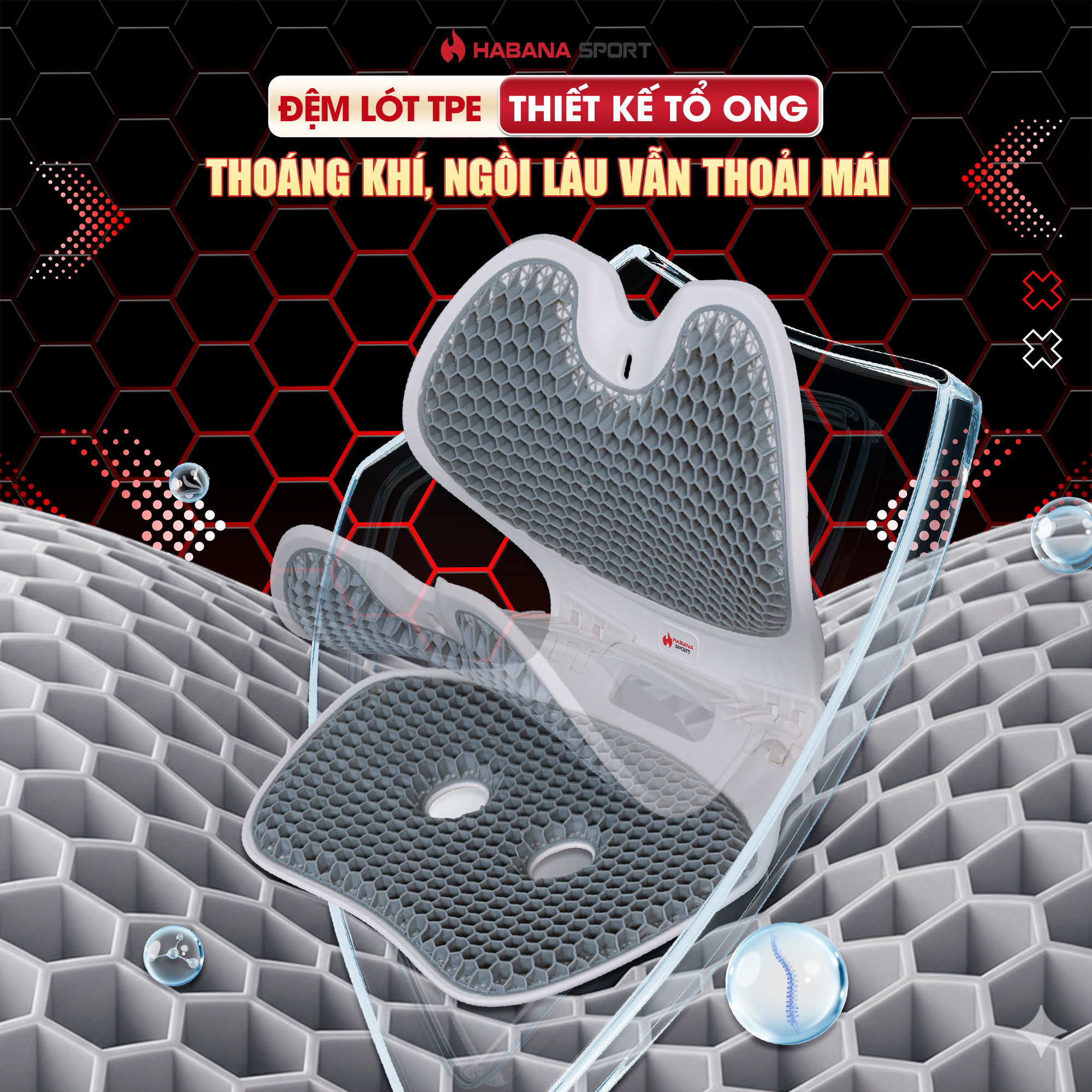 GHẾ CHỈNH DÁNG EGO HABANA