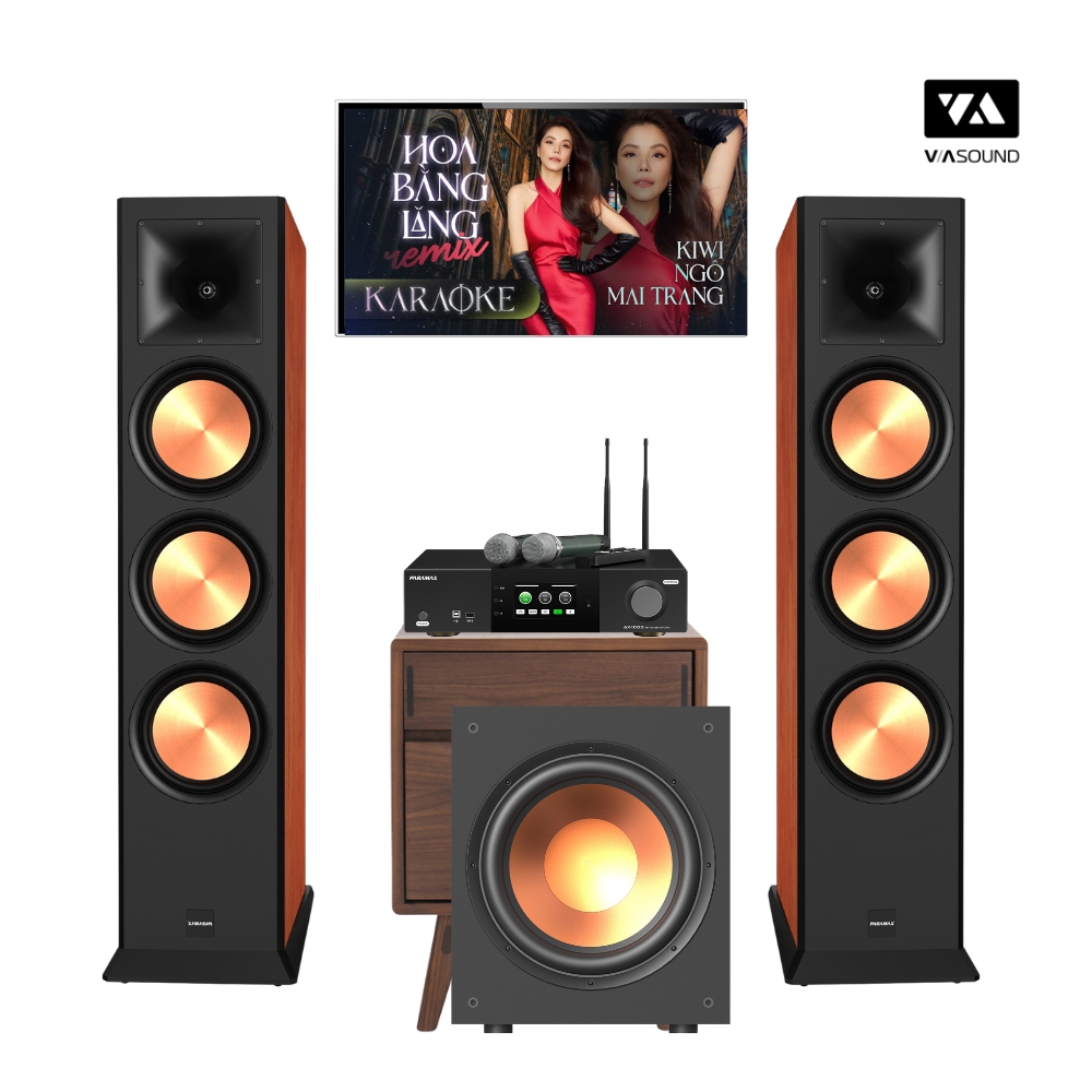 COMBO KARAOKE PARAMAX EURO 803 LIMITED - PARA 1