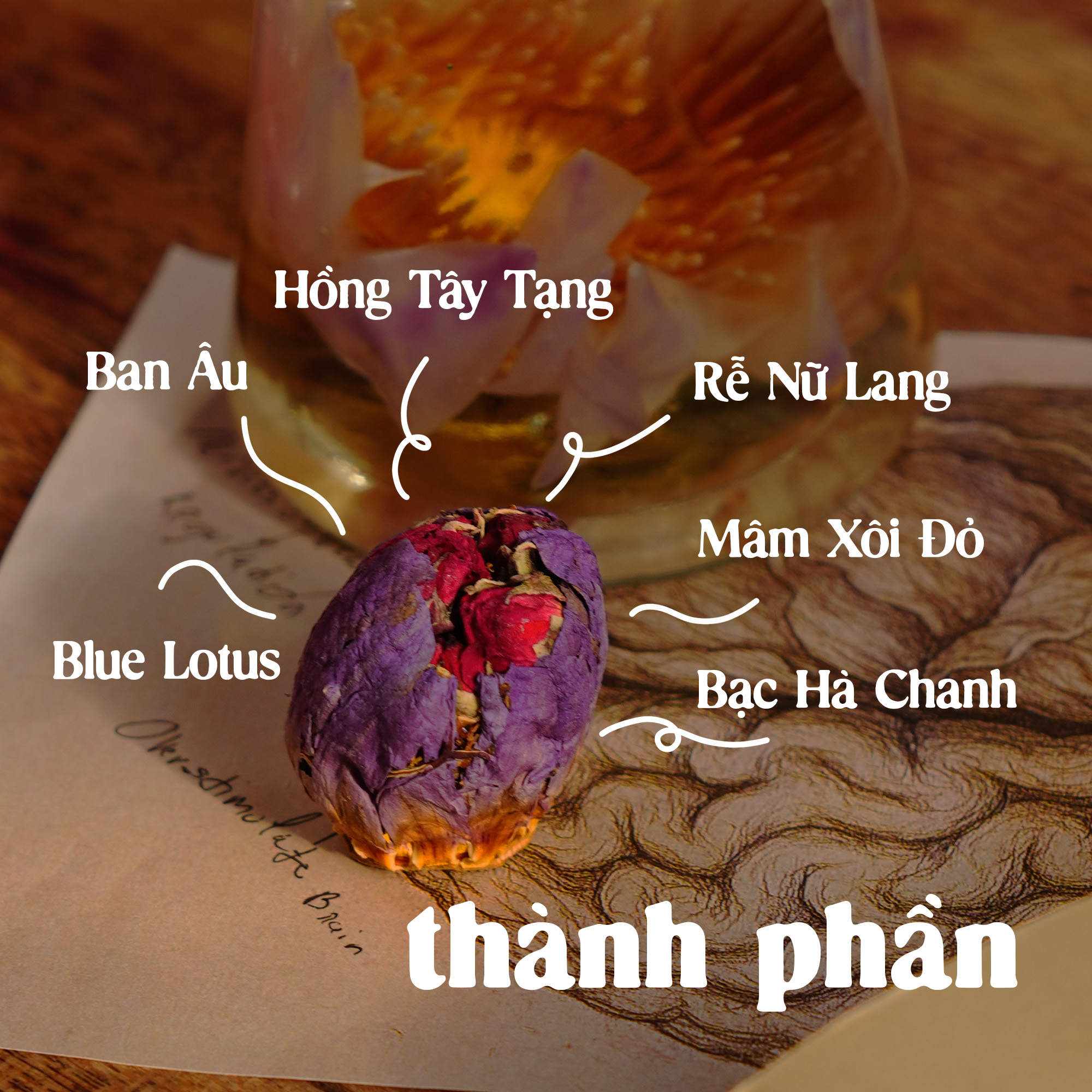 Trà Ngũ Lành - Giảm Căng Thẳng & Điều Hòa Thần Kinh & Ngủ Sâu Tự Nhiên | Natural’s Heal