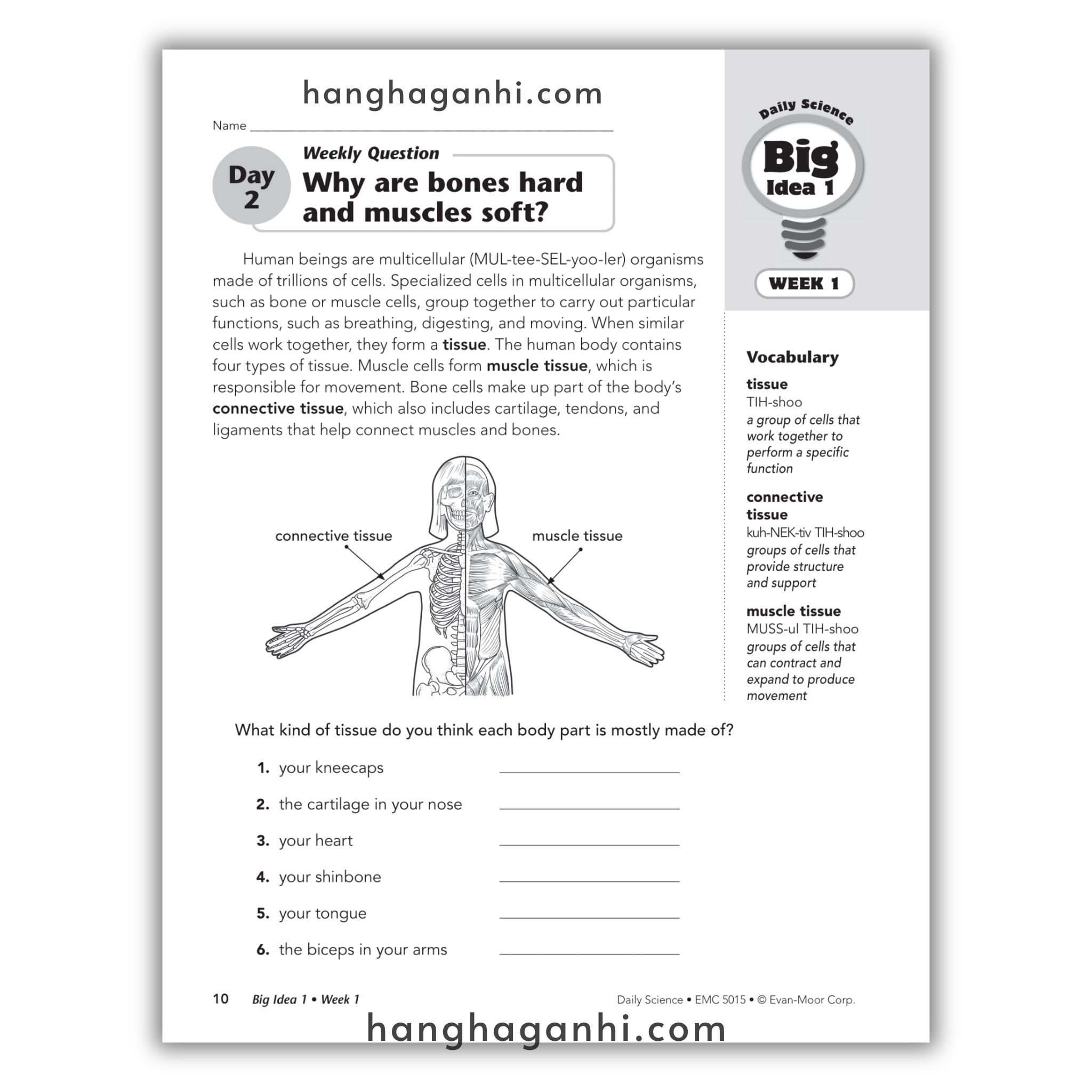 Daily Science Grade 5_thumbnail_8