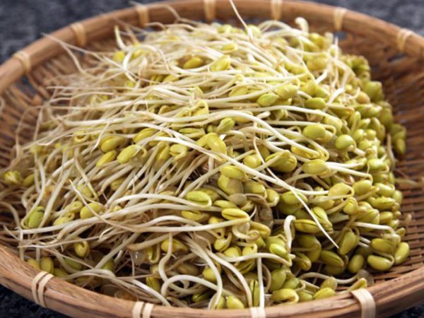 THỰC PHẨM TỐT CHO NGƯỜI MÁU NHIỄM MỠ