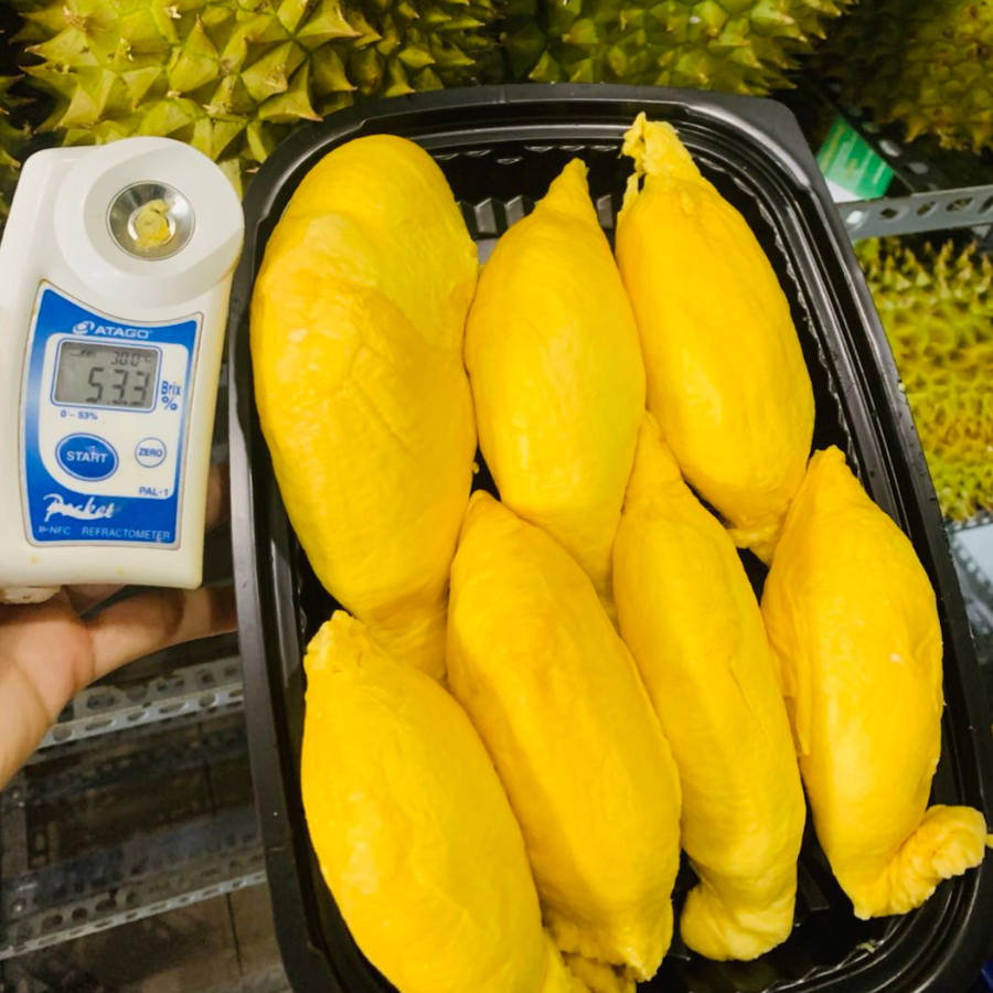 Tách Sẵn - Sầu Riêng RM1 ( GIỐNG MỚI )_thumbnail_5