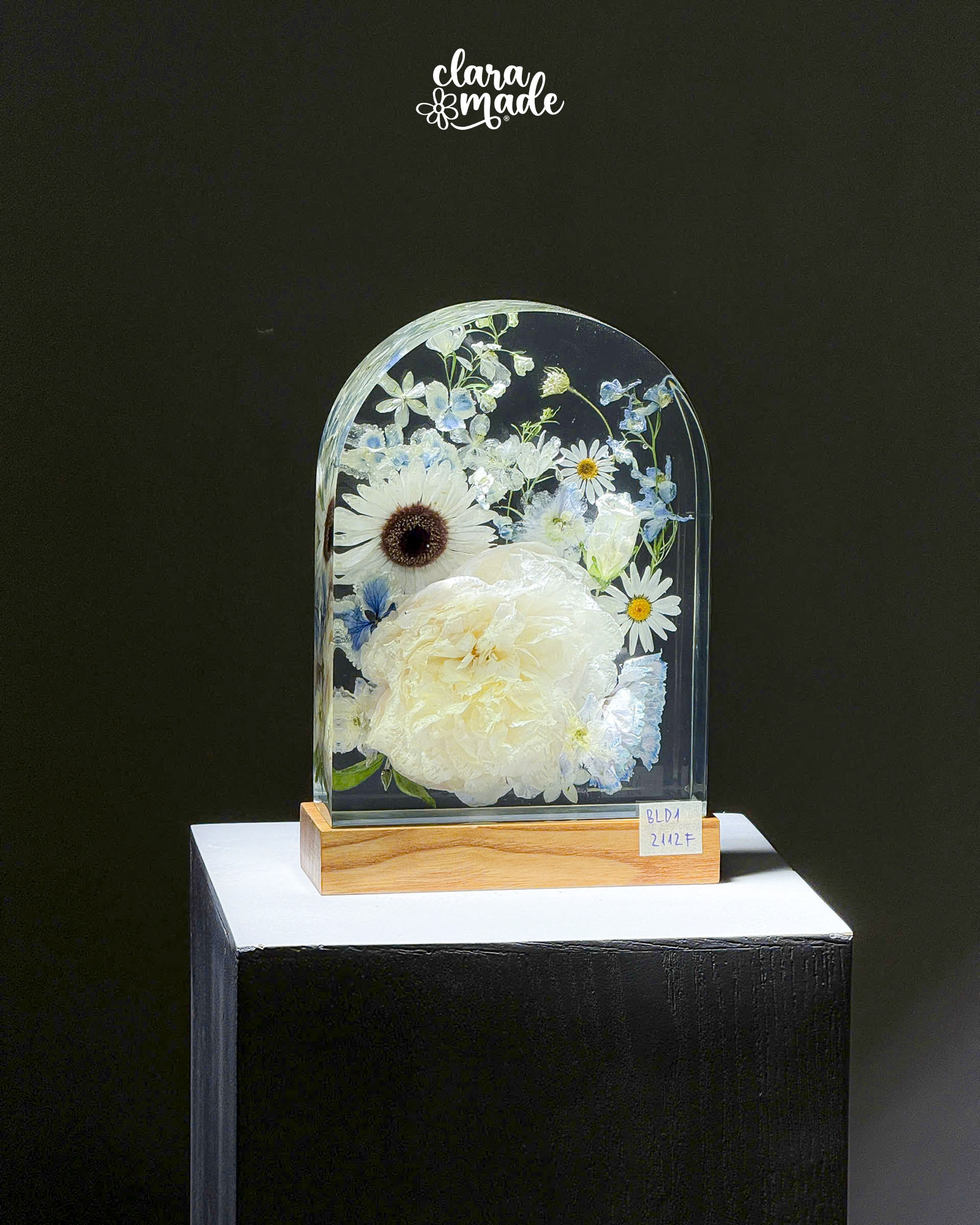 Đèn hoa khô Bloomlight BLD12112F