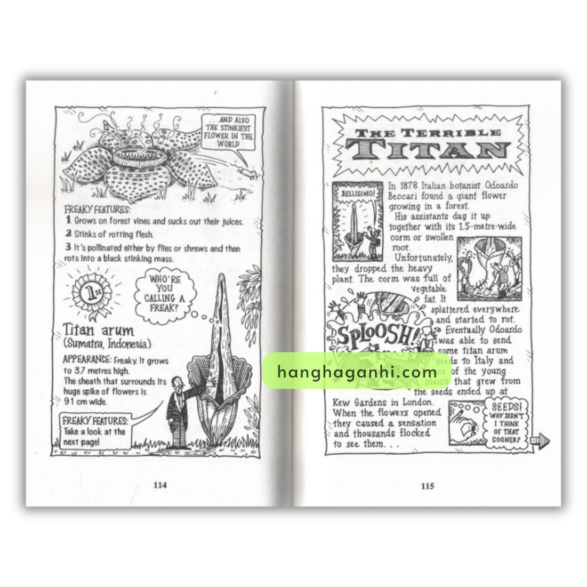 Bộ sách Horrible Science (sách nhập khẩu)_thumbnail_8