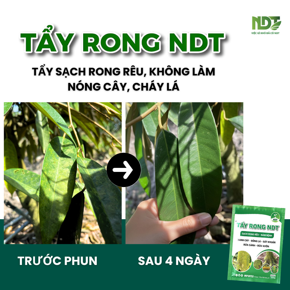 TẨY RONG NDT_thumbnail_5