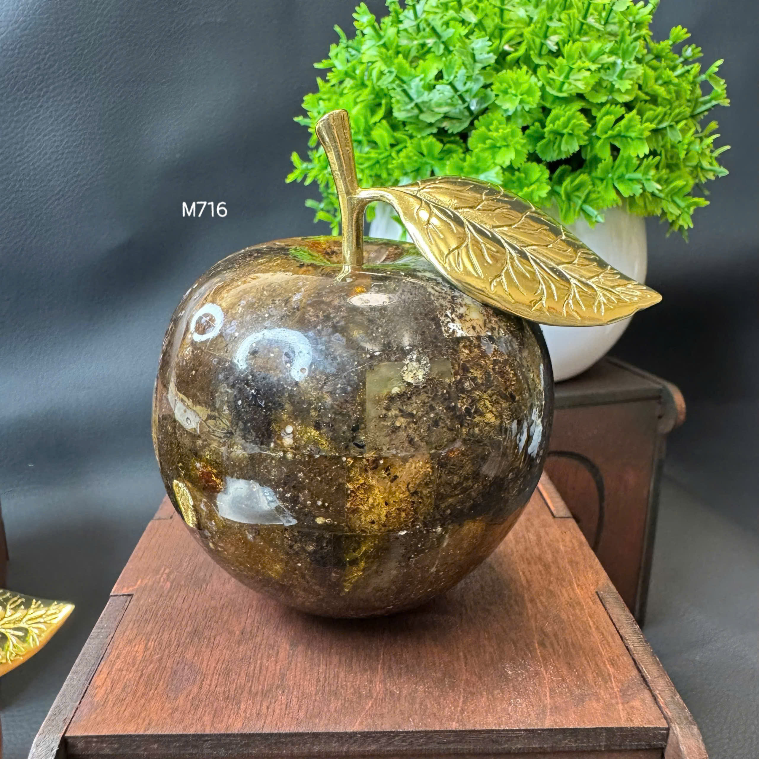 Táo Rêu Đầm Lầy Hổ Phách - M716