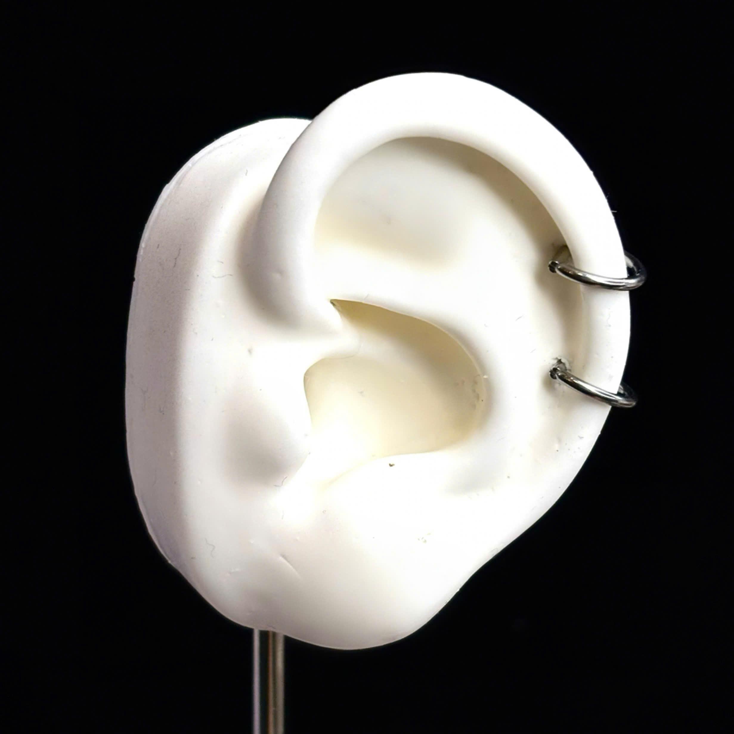 Bật khớp titan chữ D đeo cho helix mới xỏ_thumbnail_3