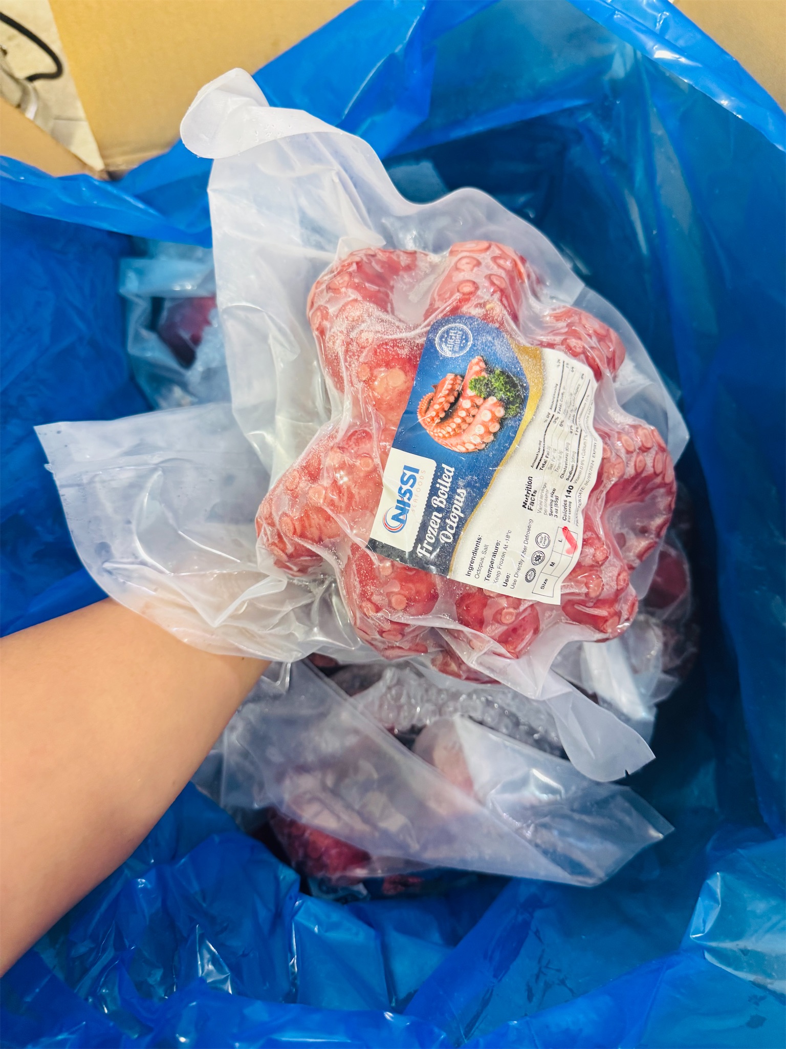 Bạch tuộc đỏ nguyên con Nissi_thumbnail_3