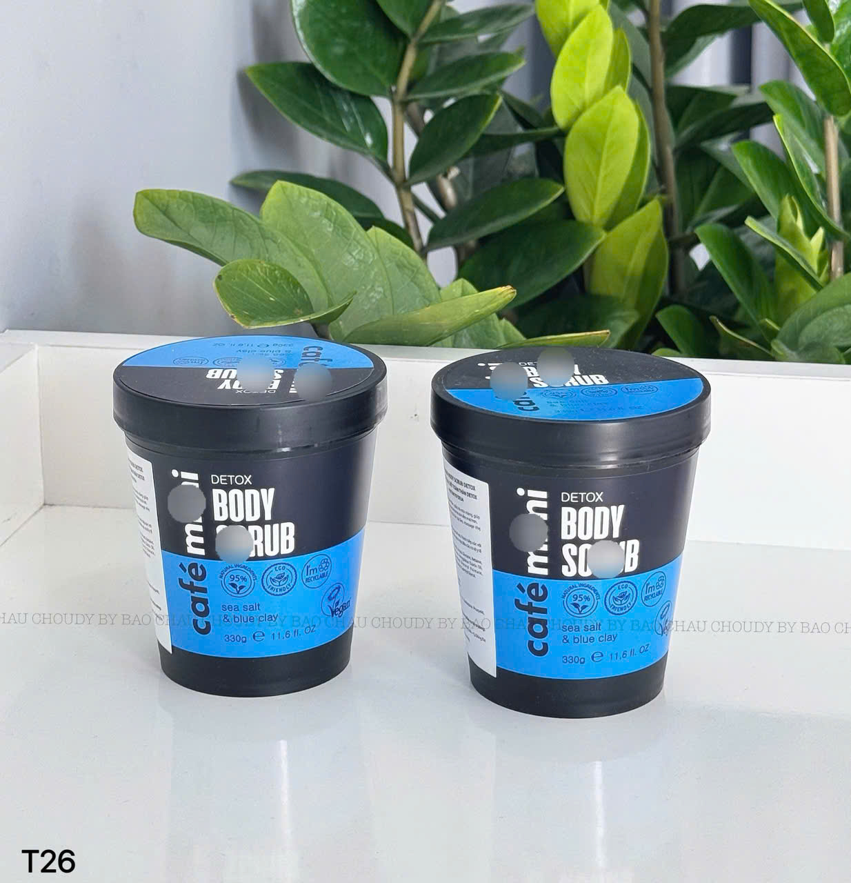 T26 TTBC CAFE BODY_thumbnail_0