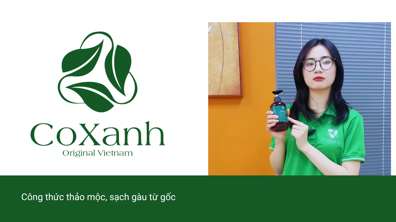 Công thức thảo mộc, sạch gàu từ gốc