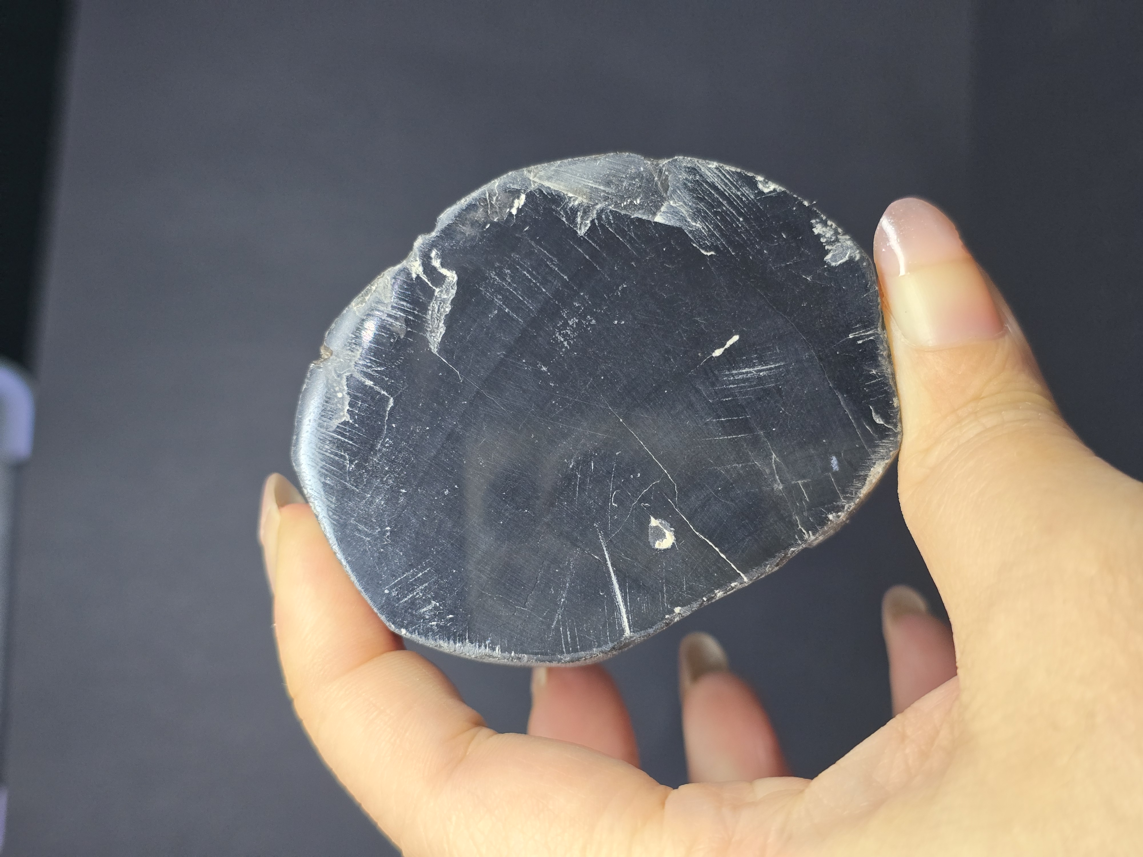 Gỗ Hóa Thạch Đã Được Mài Bóng 2 Mặt