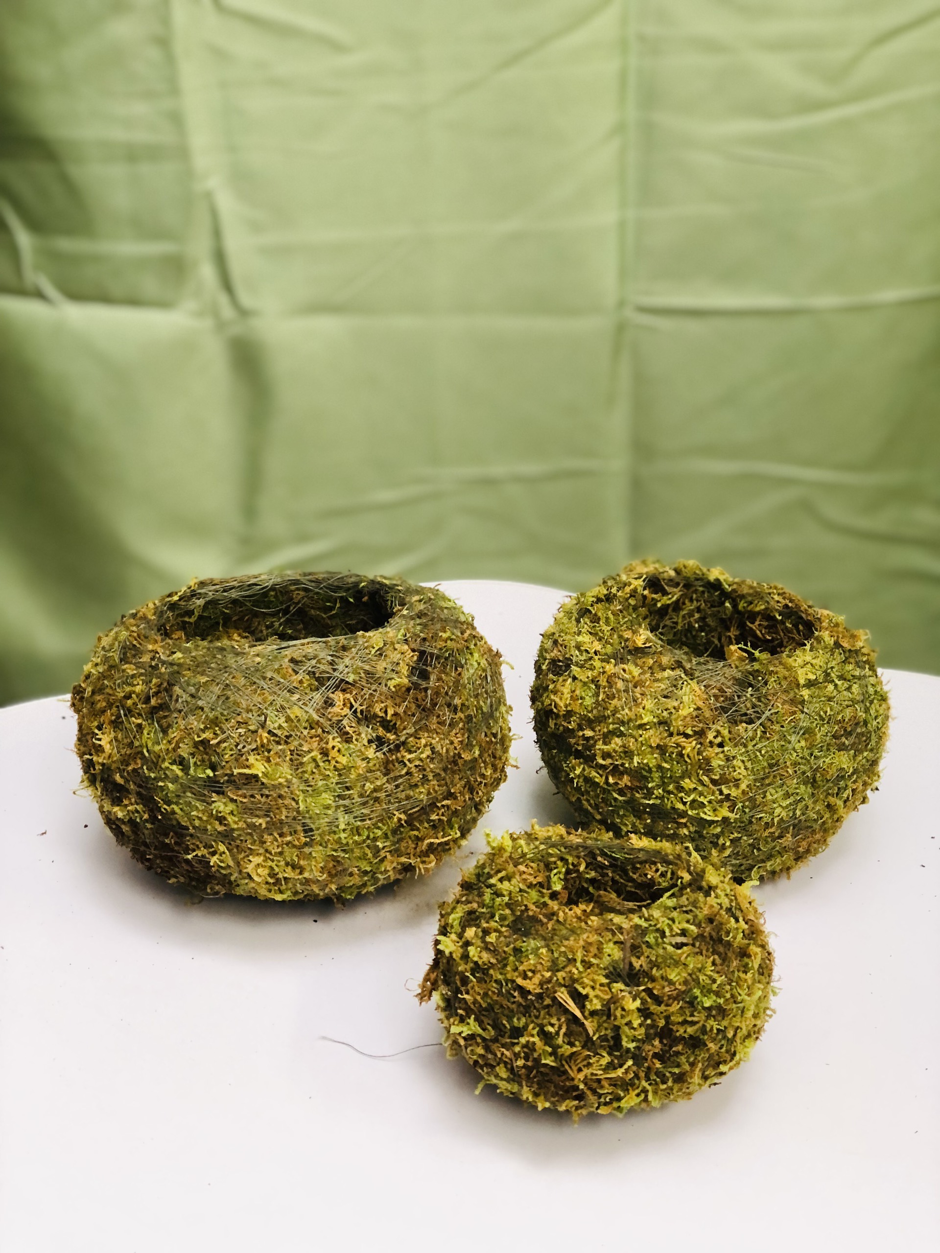 Chậu rêu kodedama_thumbnail_0