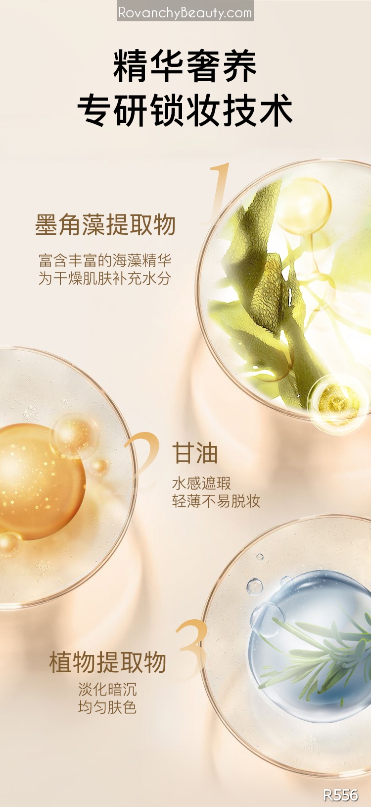 Phấn Nước R556 ROVANCHY Hộp Vàng Sang Trọng - Lớp Nền Hoàn Hảo, Che Phủ Tự Nhiên_thumbnail_20