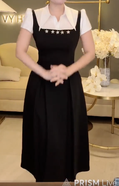 Đầm Xoè Cổ Nhọn Tag Hoa