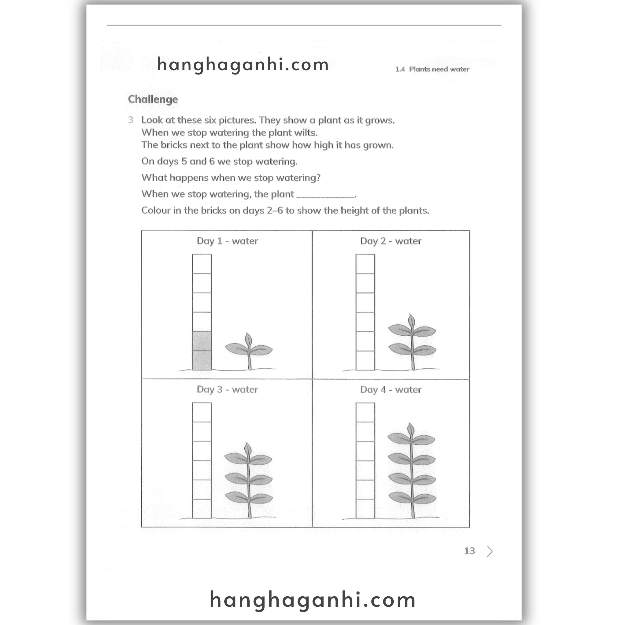 Cambridge Level 1 Primary Science Workbook 2nd edition 2021_thumbnail_11