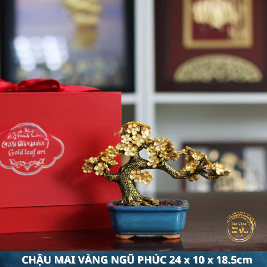 CHẬU MAI VÀNG NGŨ PHÚC 24x10x18.5cm_thumbnail_4