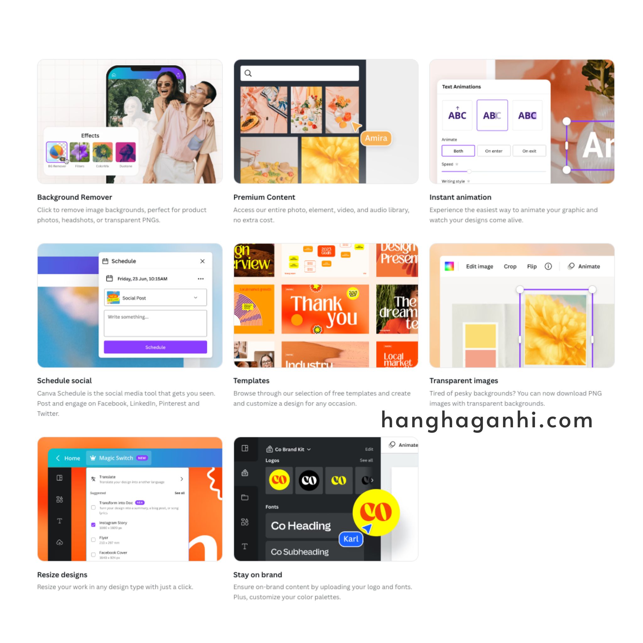Tài khoản Canva Pro 1 năm giá tốt_thumbnail_3