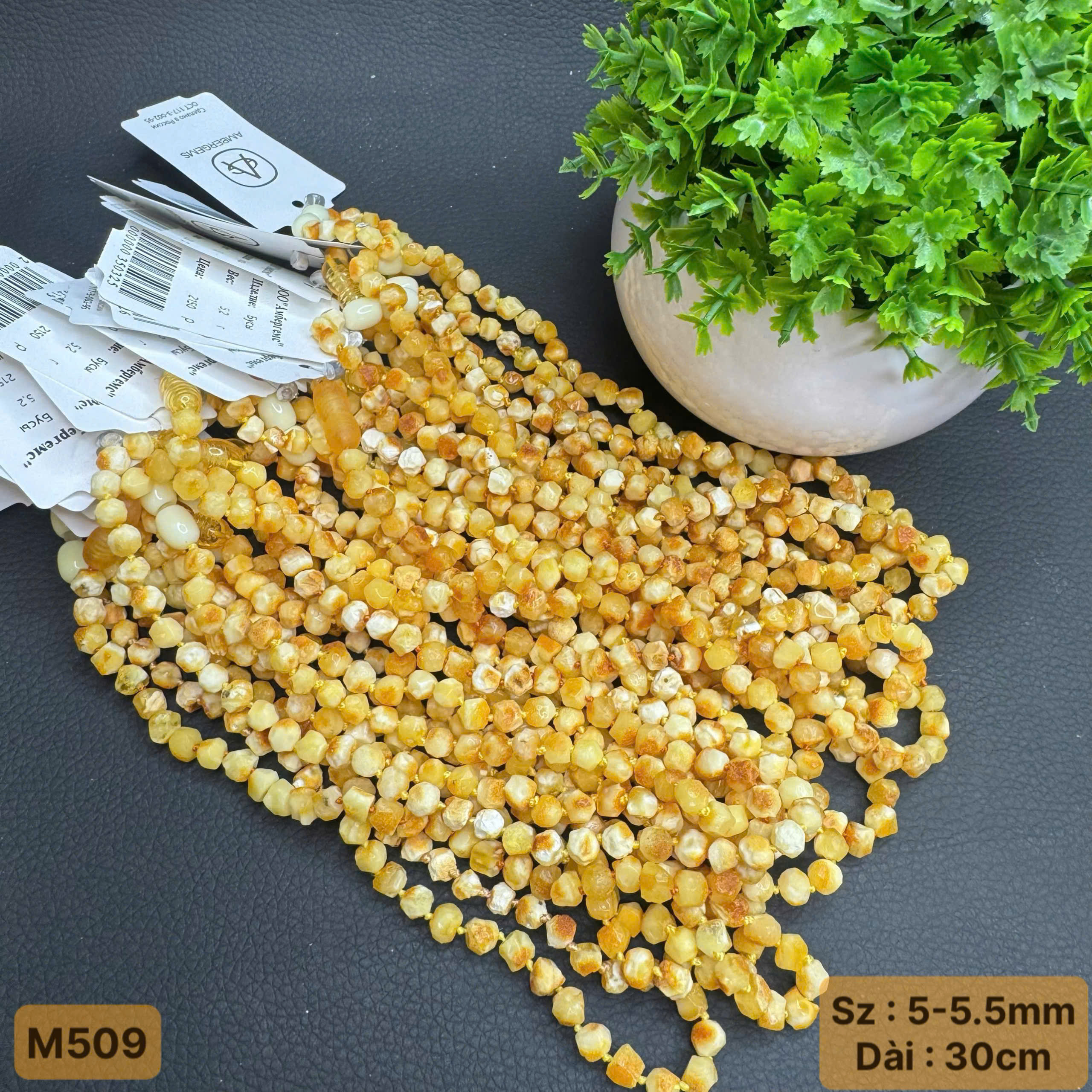 Chuỗi Cổ Thô Bạch Cắt Giác Trẻ Em - M509