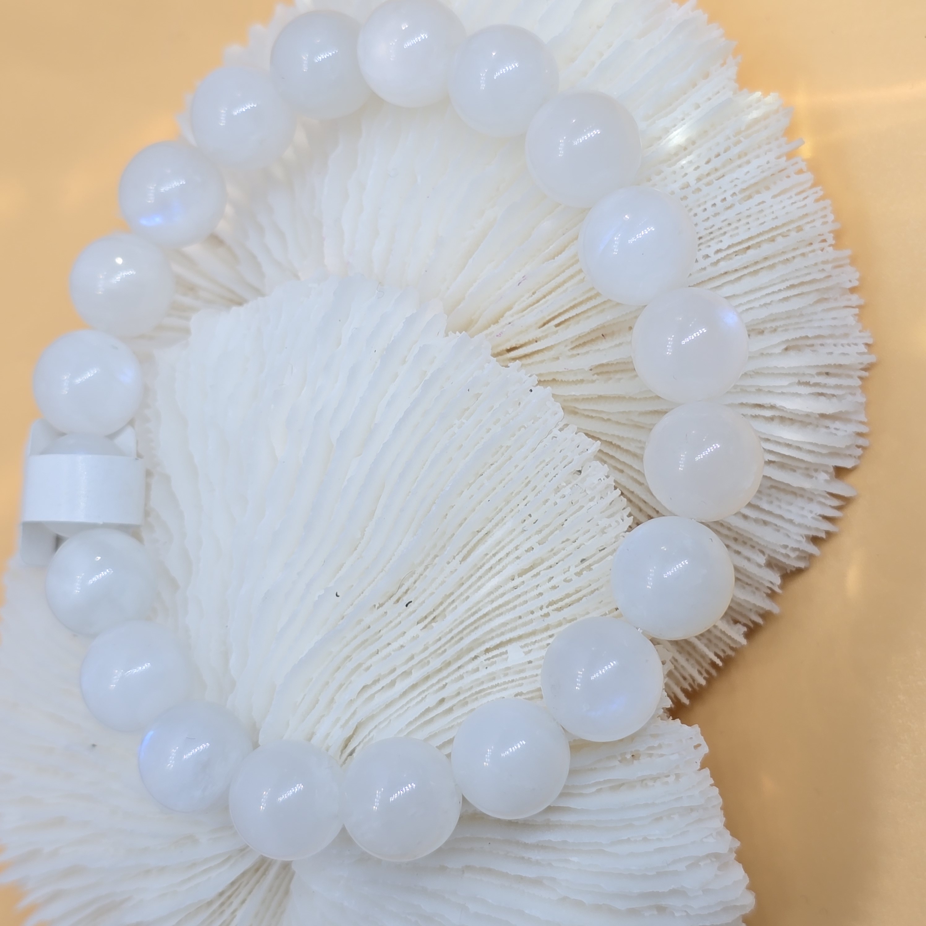 Vòng Đá Mặt Trăng Sữa Milky Moonstone