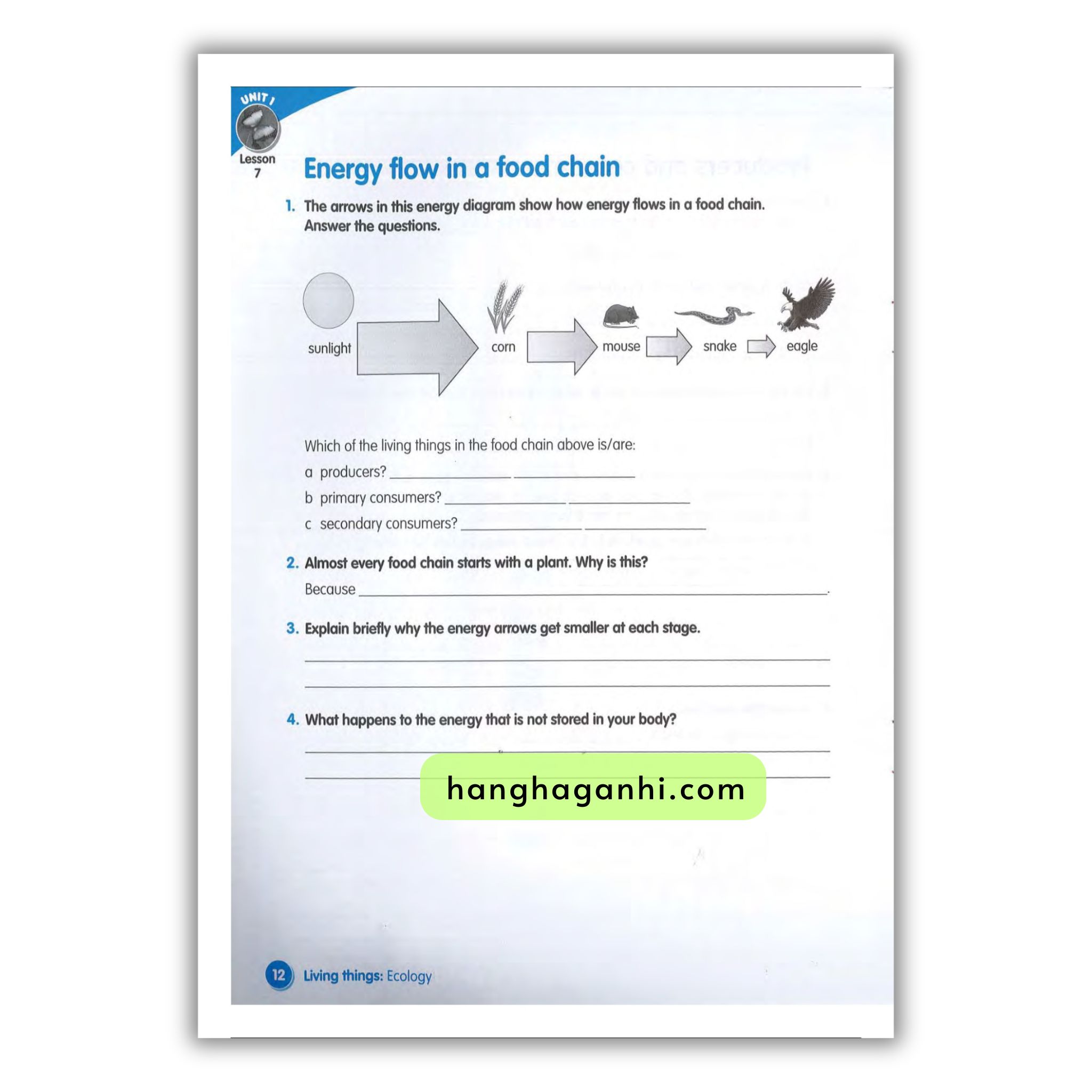 Macmillan Science 5 Workbook_thumbnail_4