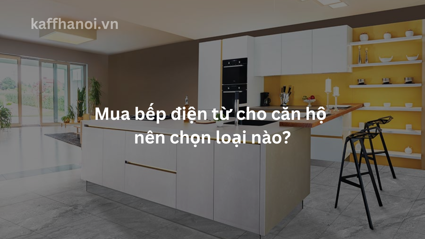 Mua bếp điện từ cho căn hộ nên chọn loại nào?