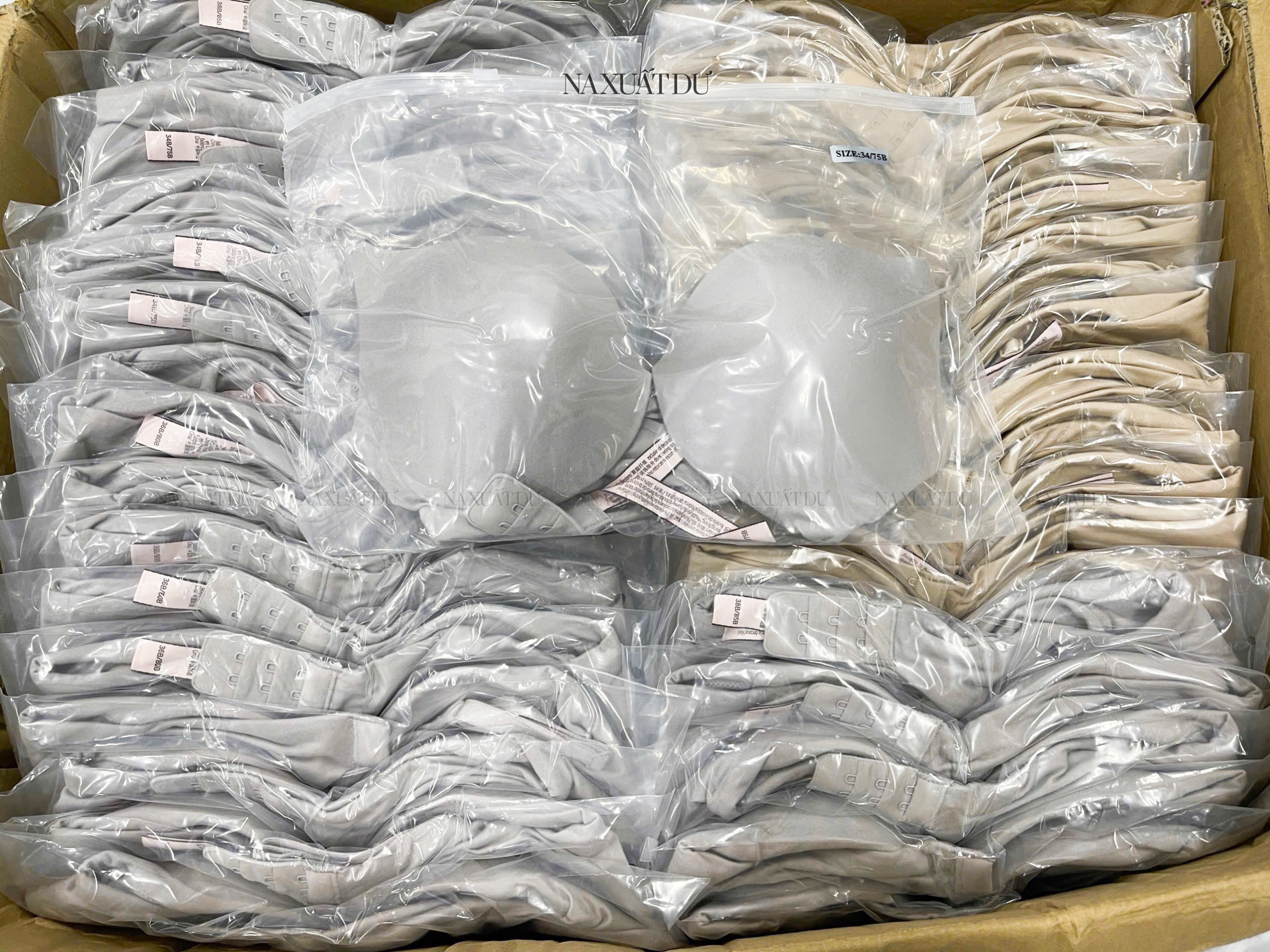 Áo ngực - B16_thumbnail_2