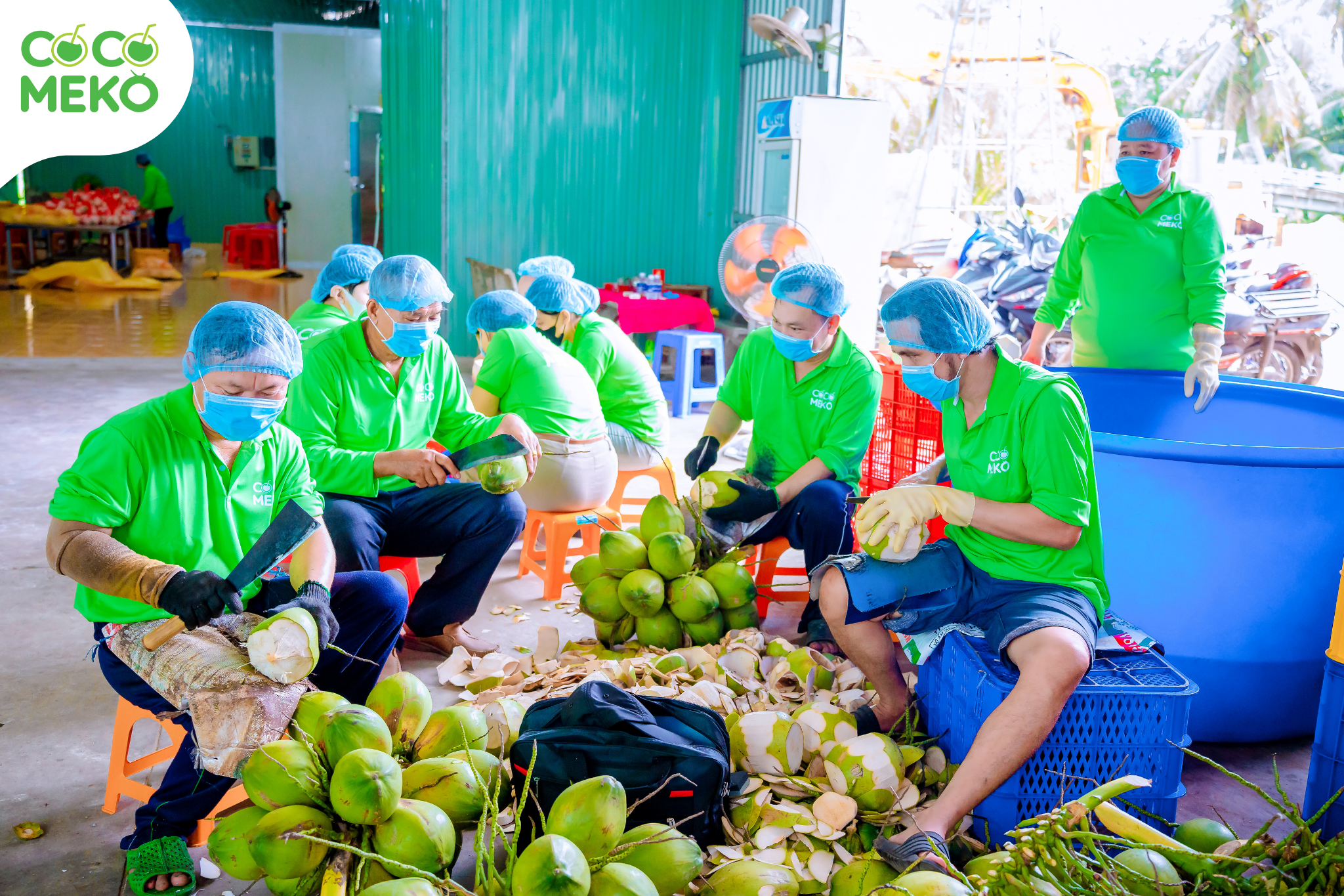 EASY COCONUT_thumbnail_4