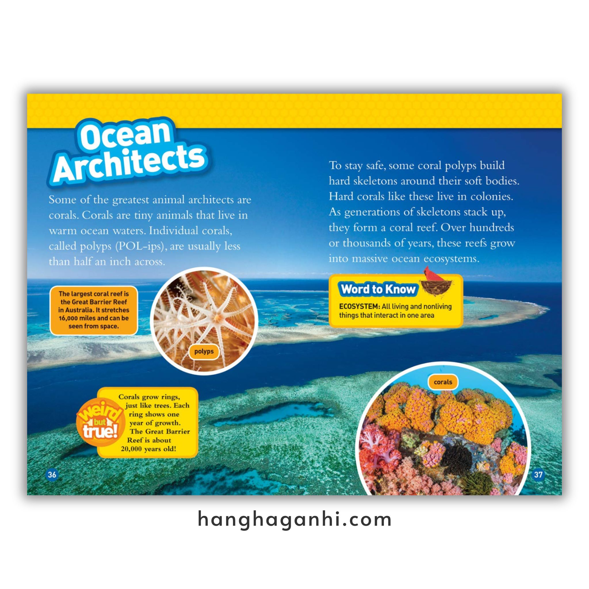 Bộ 38 cuốn National Geographic Kids level 3 - sách Khoa học tiếng Anh nhập khẩu, nguyên seal_thumbnail_11