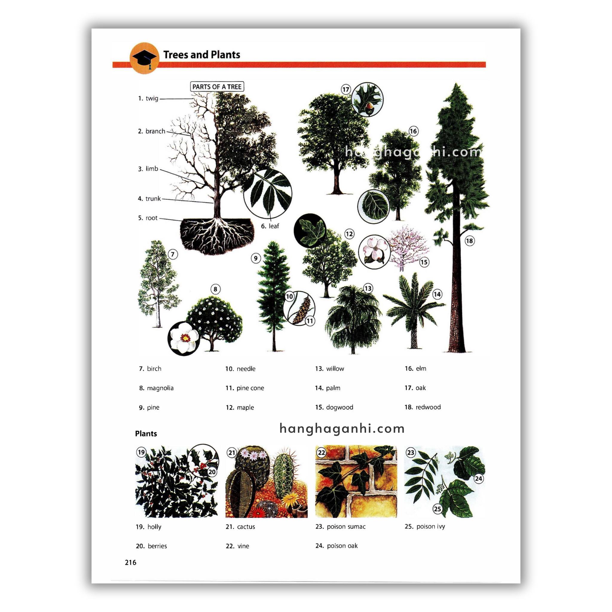 Oxford Picture Dictionary Third Edition: Từ điển Tiếng Anh_thumbnail_2