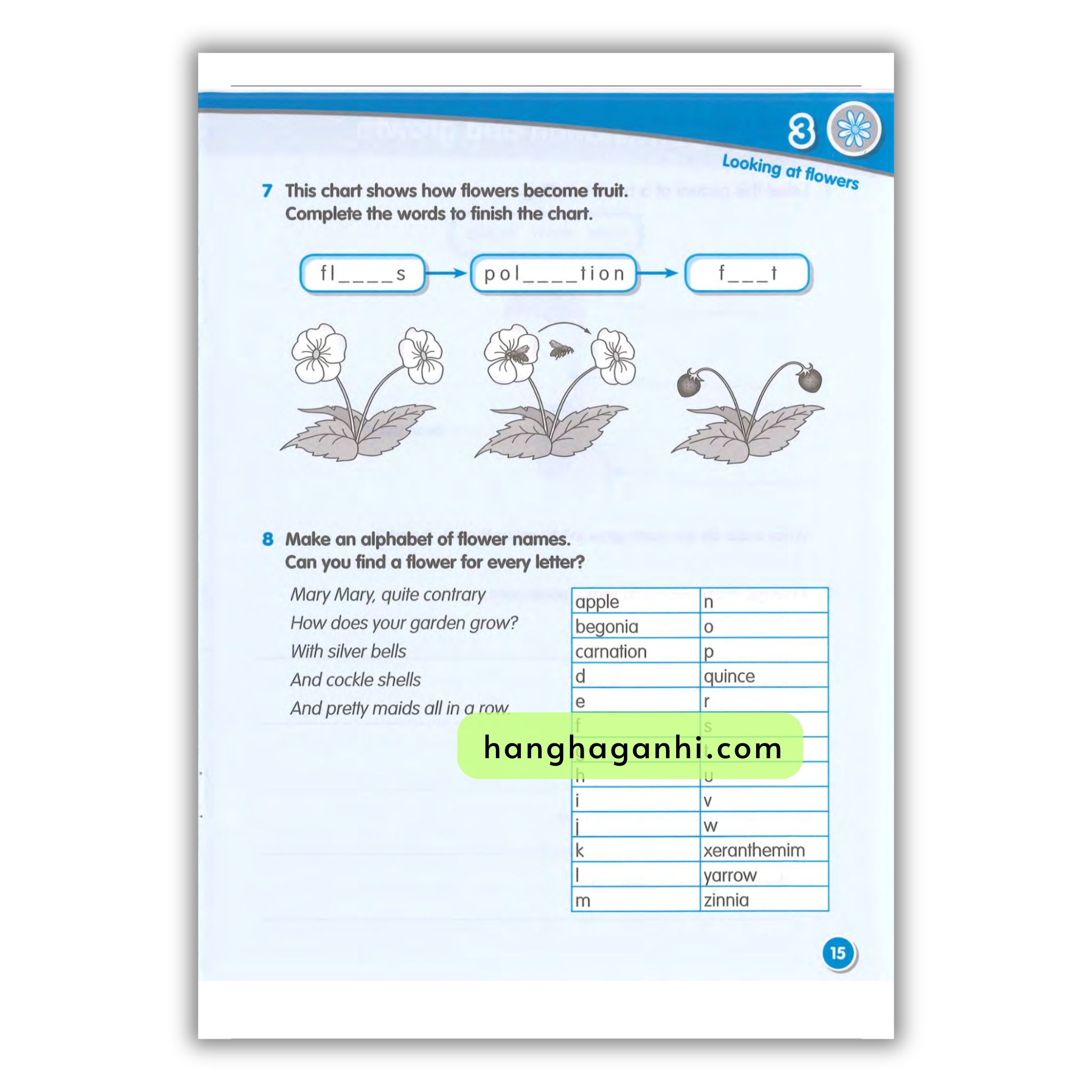 Macmillan Science 3 Workbook_thumbnail_14