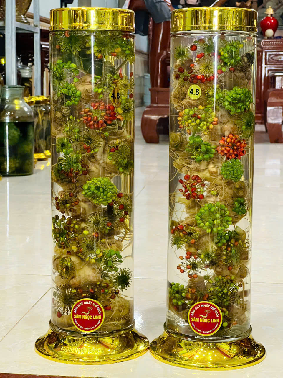 SÂM NGỌC LINH BONSAI 4,8L (Liên hệ báo giá)_thumbnail_3