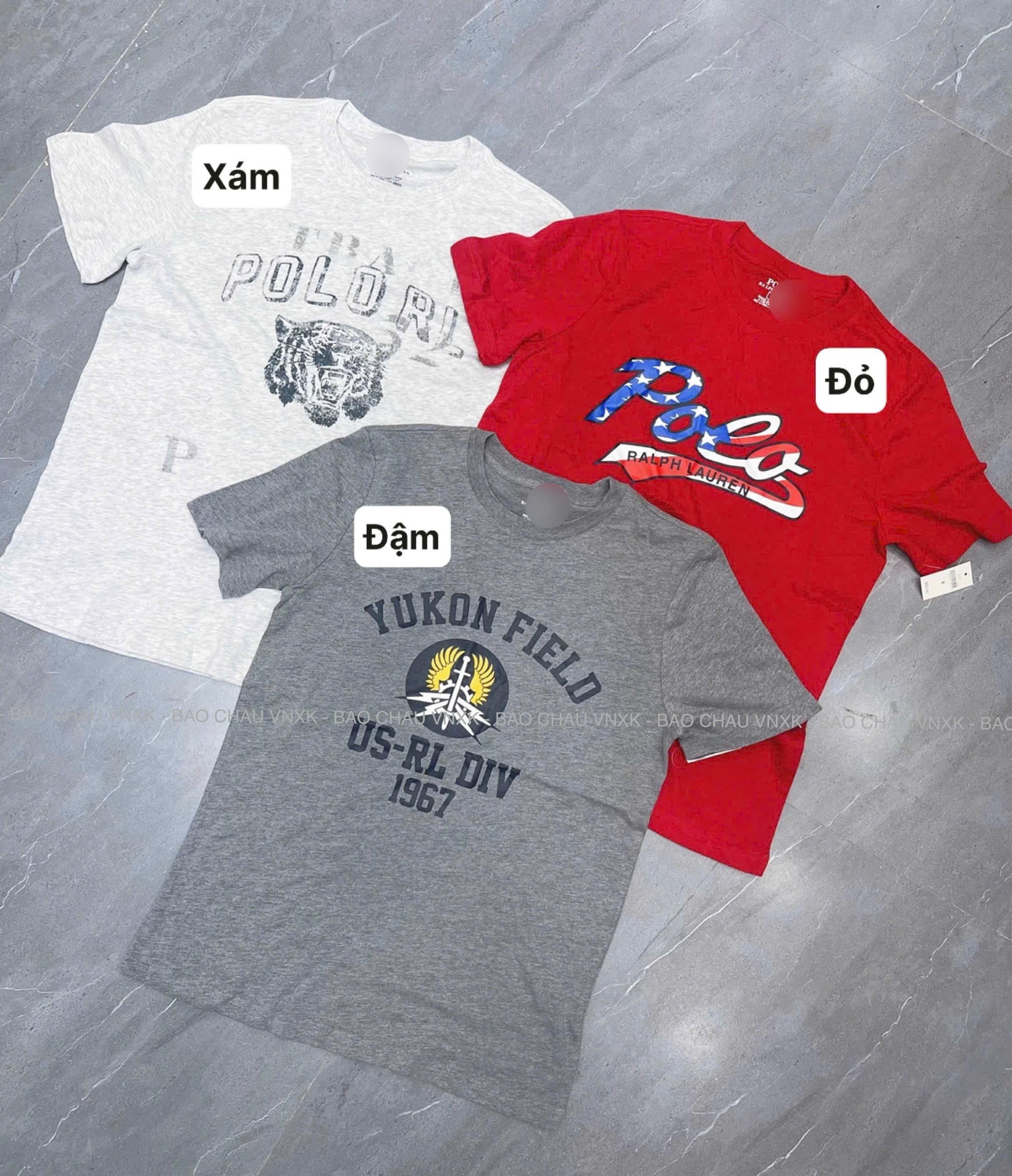 A2137 ÁO THUN 3 MÀU_thumbnail_1