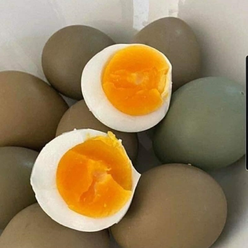 Trứng Chim Trĩ_thumbnail_2