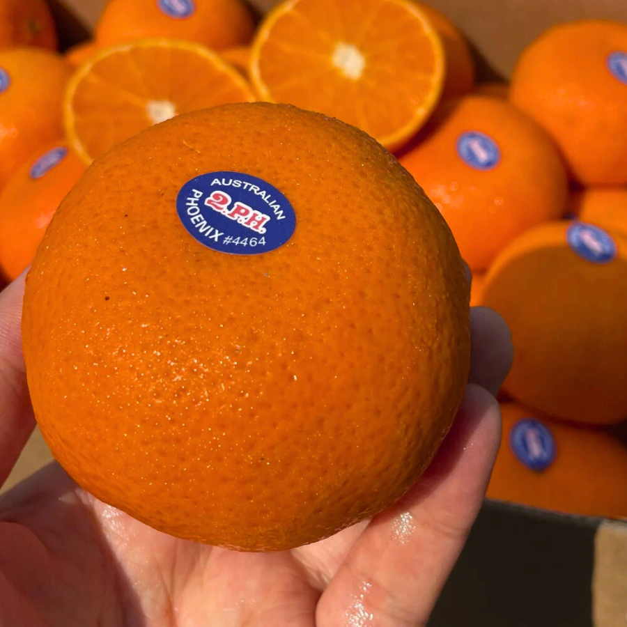 Quýt Úc Vàng_thumbnail_3