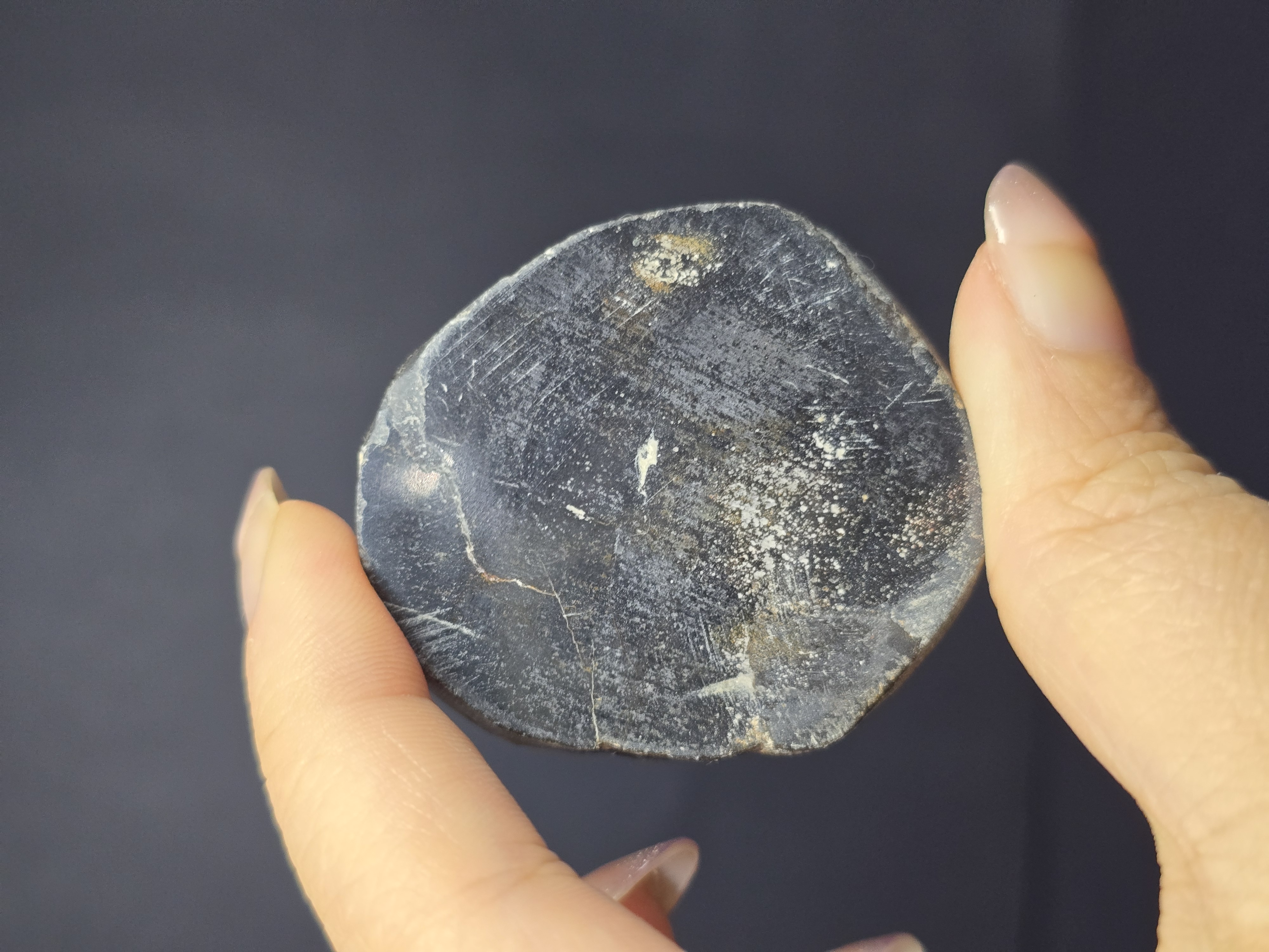 Gỗ Hóa Thạch Đã Được Mài Bóng 2 Mặt_thumbnail_8