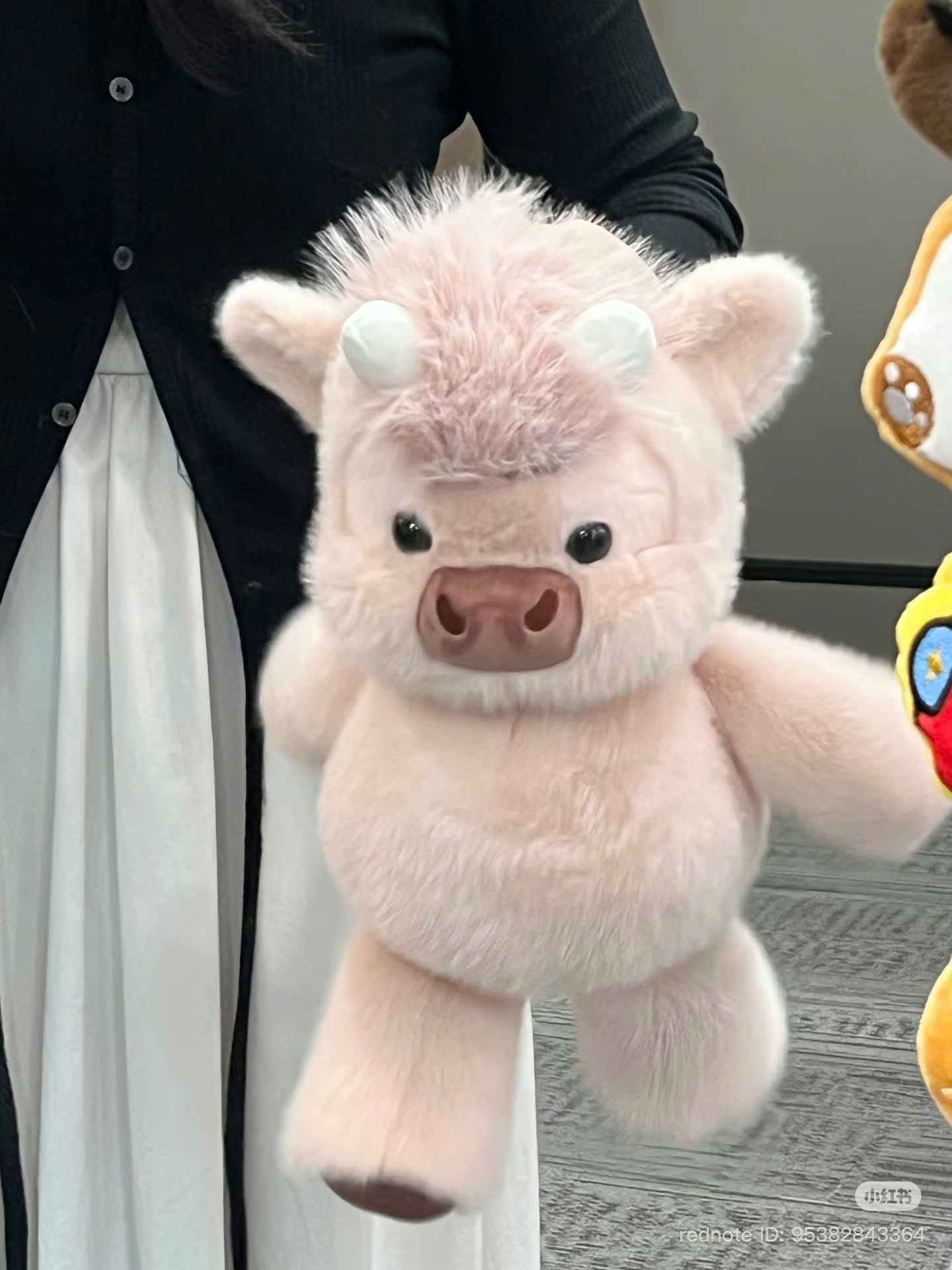 BÒ BABY CHẠY BỘ