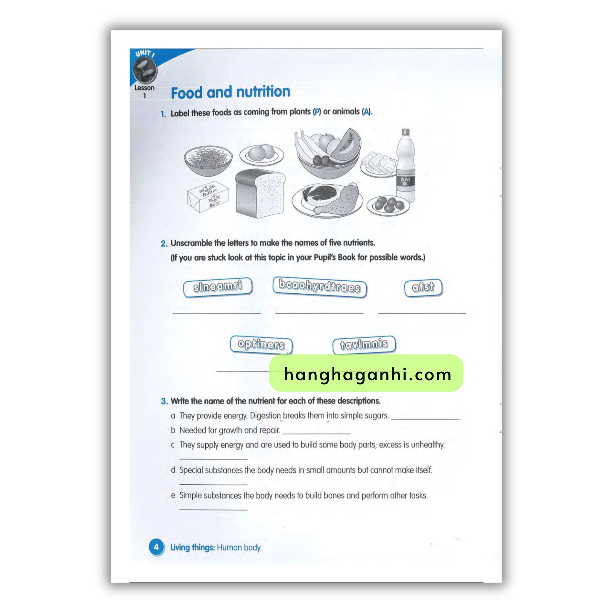 Macmillan Science 5 Workbook_thumbnail_12